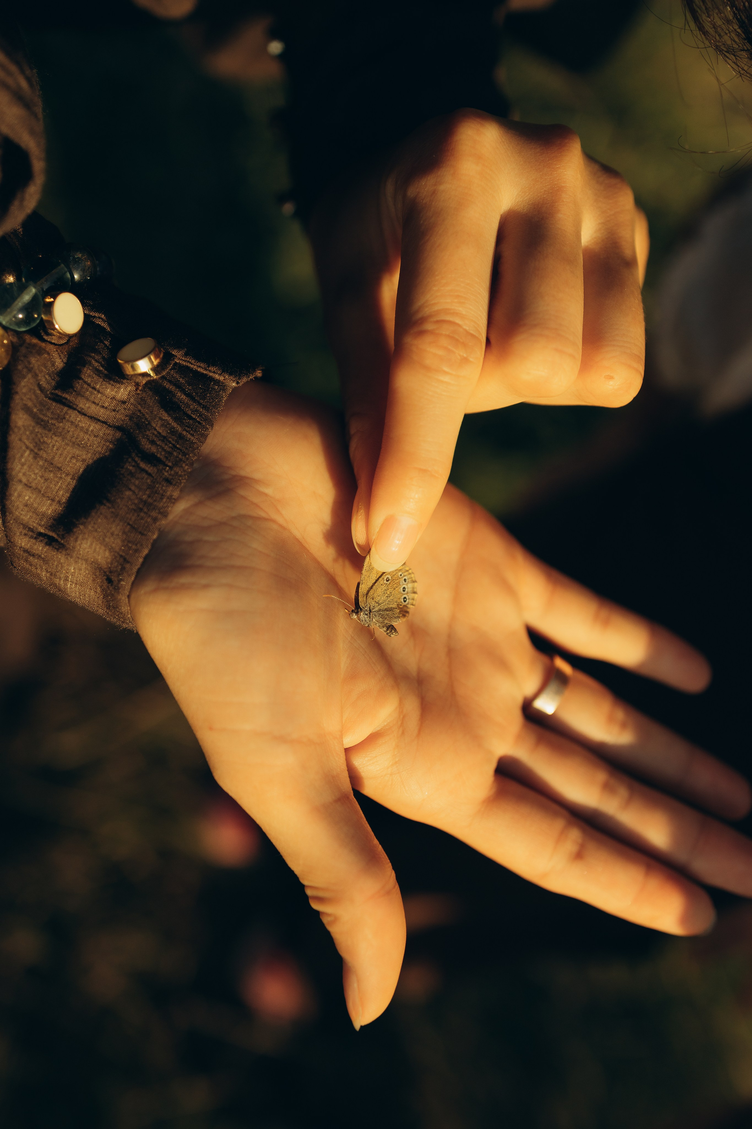 На природе. Семейный фотограф Новосибирск Фотограф на выписку Новосибирск
