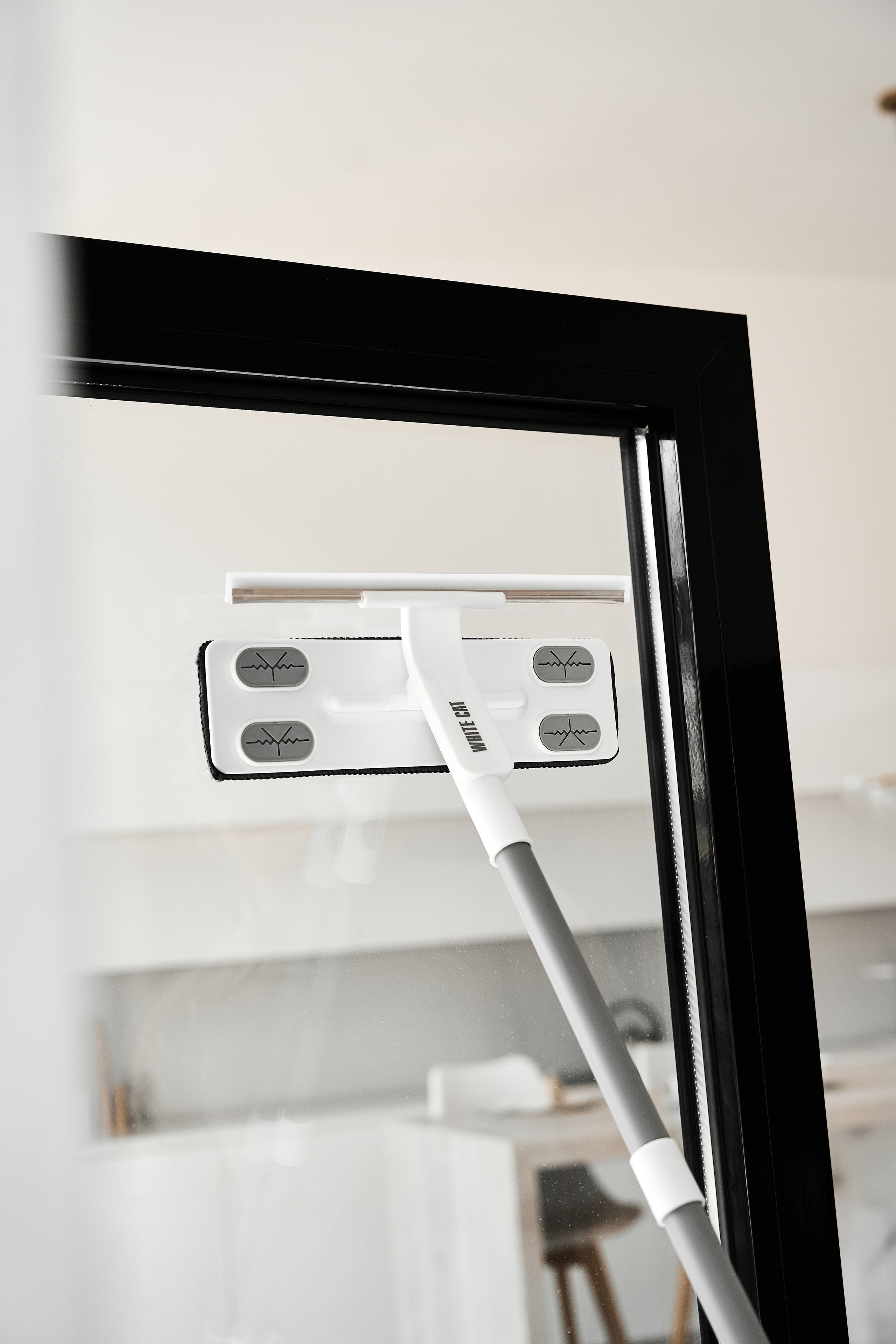 White cat. Фотограф в Москве Казакова Анна