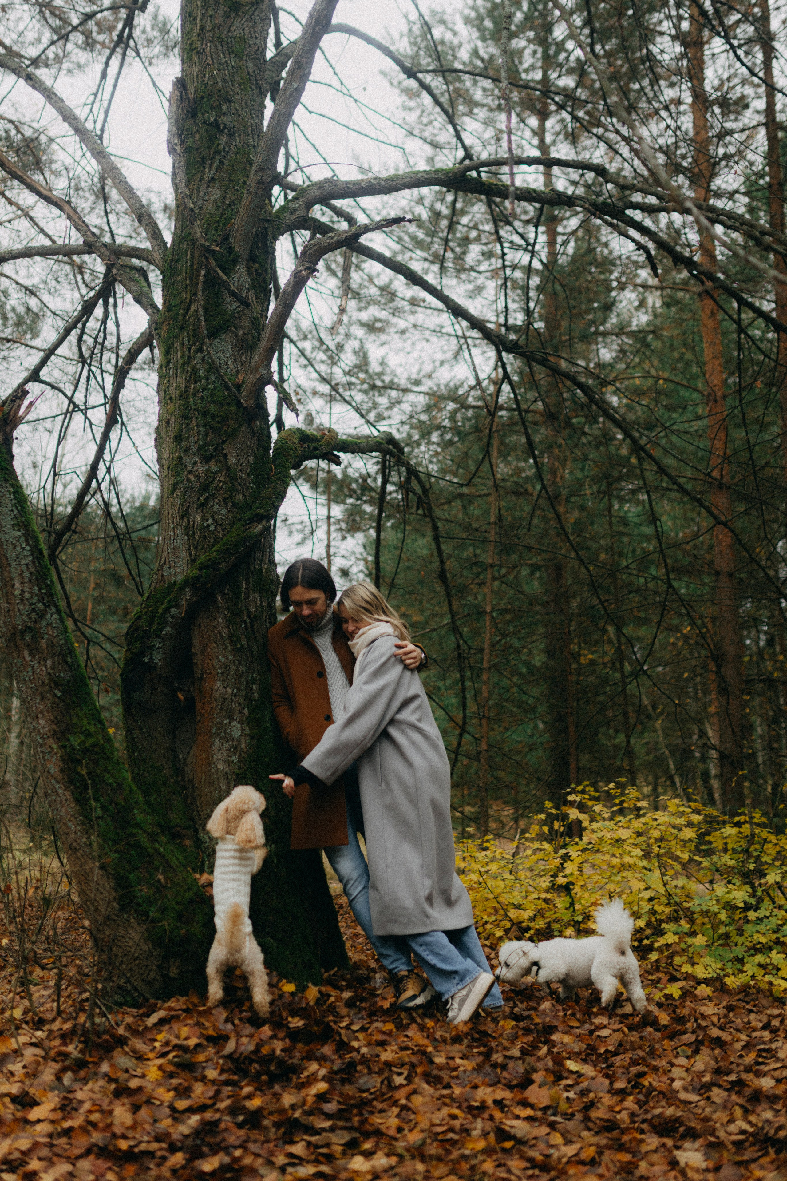 Лена & Миша. Фотограф НОГИНСК, Москва, Анастасия Белая
