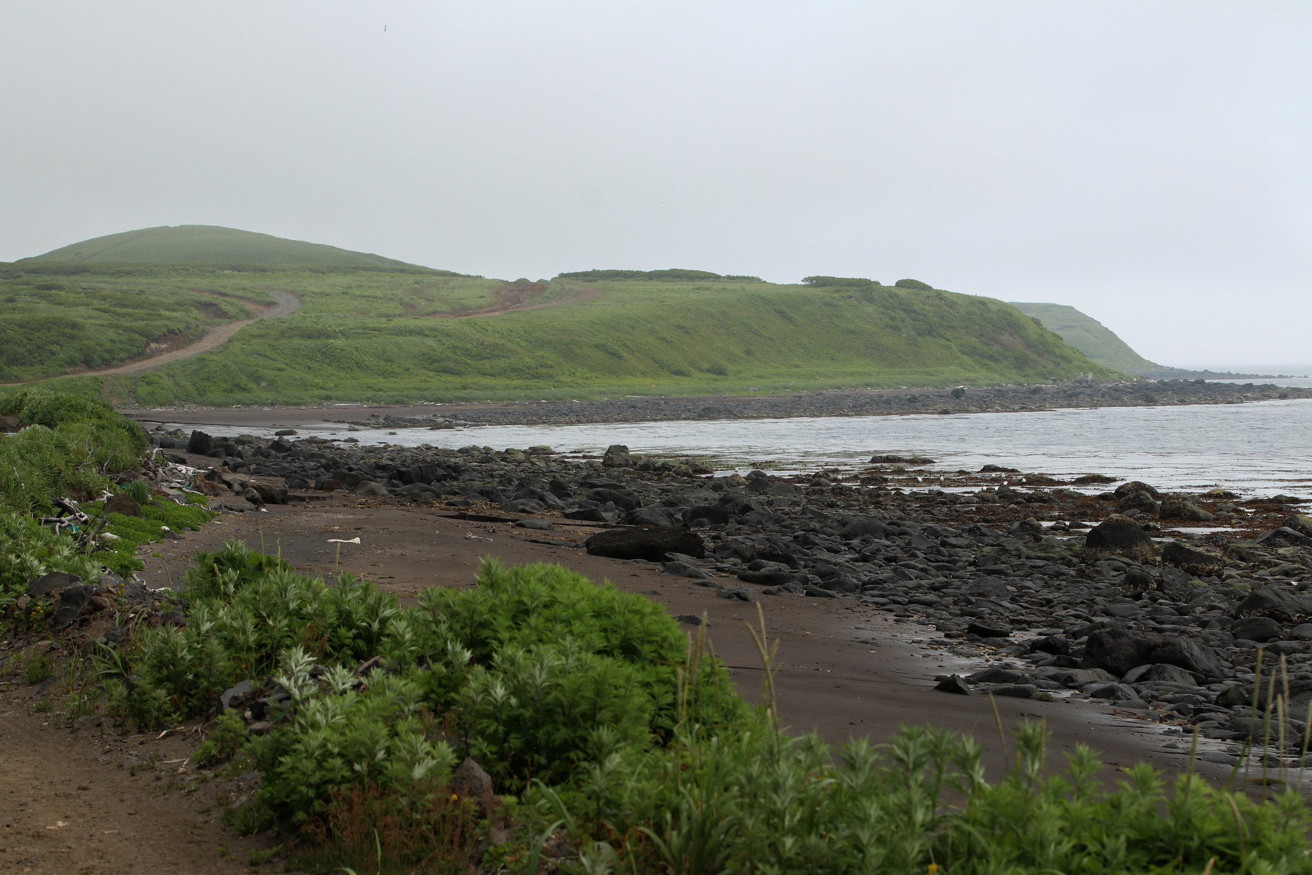 Камчатка и о. Парамушир. Июль 2024. Путешественник-фотограф из Санкт-Петербурга Татьяна Свистулина