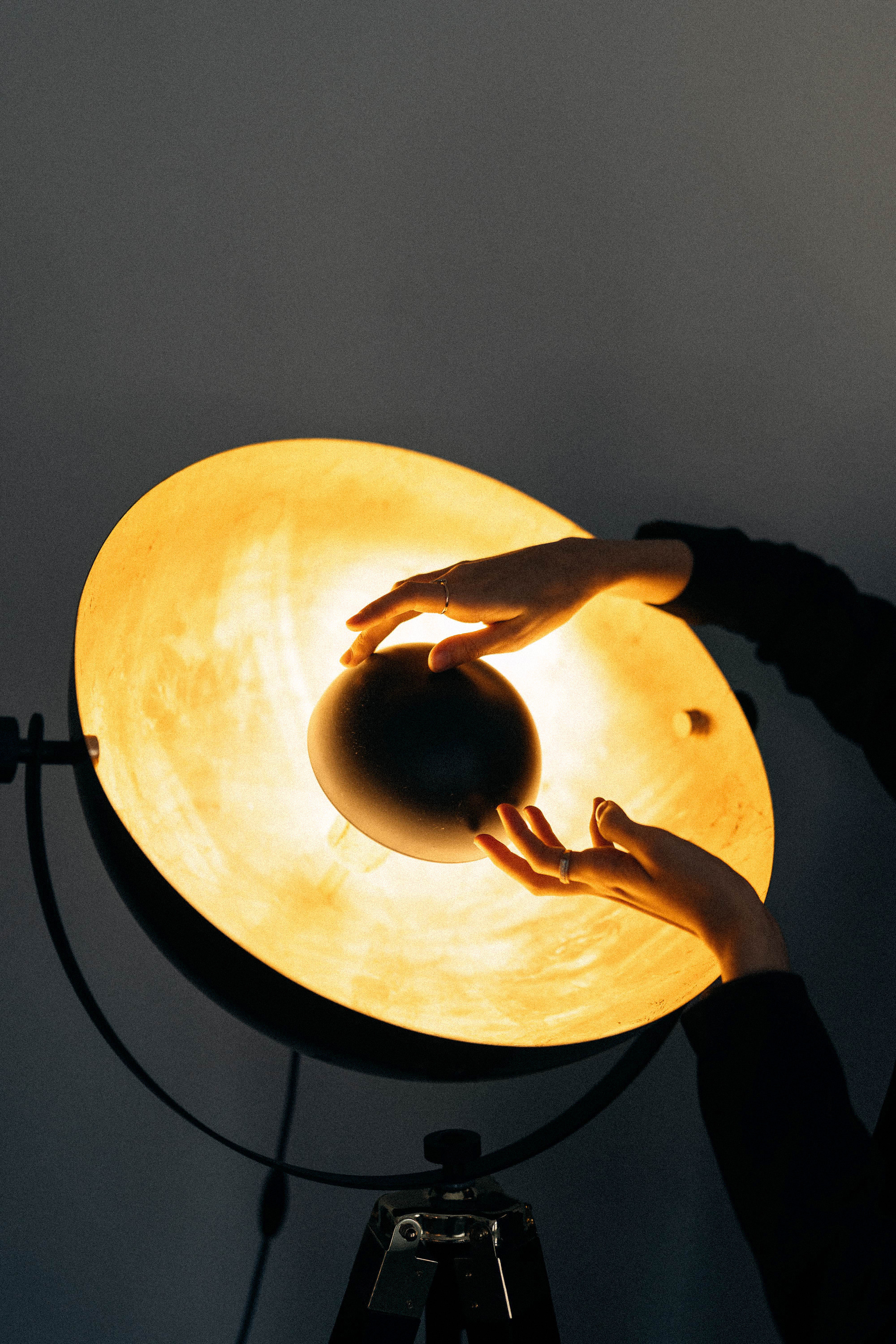 Тюльпаны. Лилия Павлова фотограф в Санкт-Петербурге Питер СПб Фотопрогулки Спб lilyincity