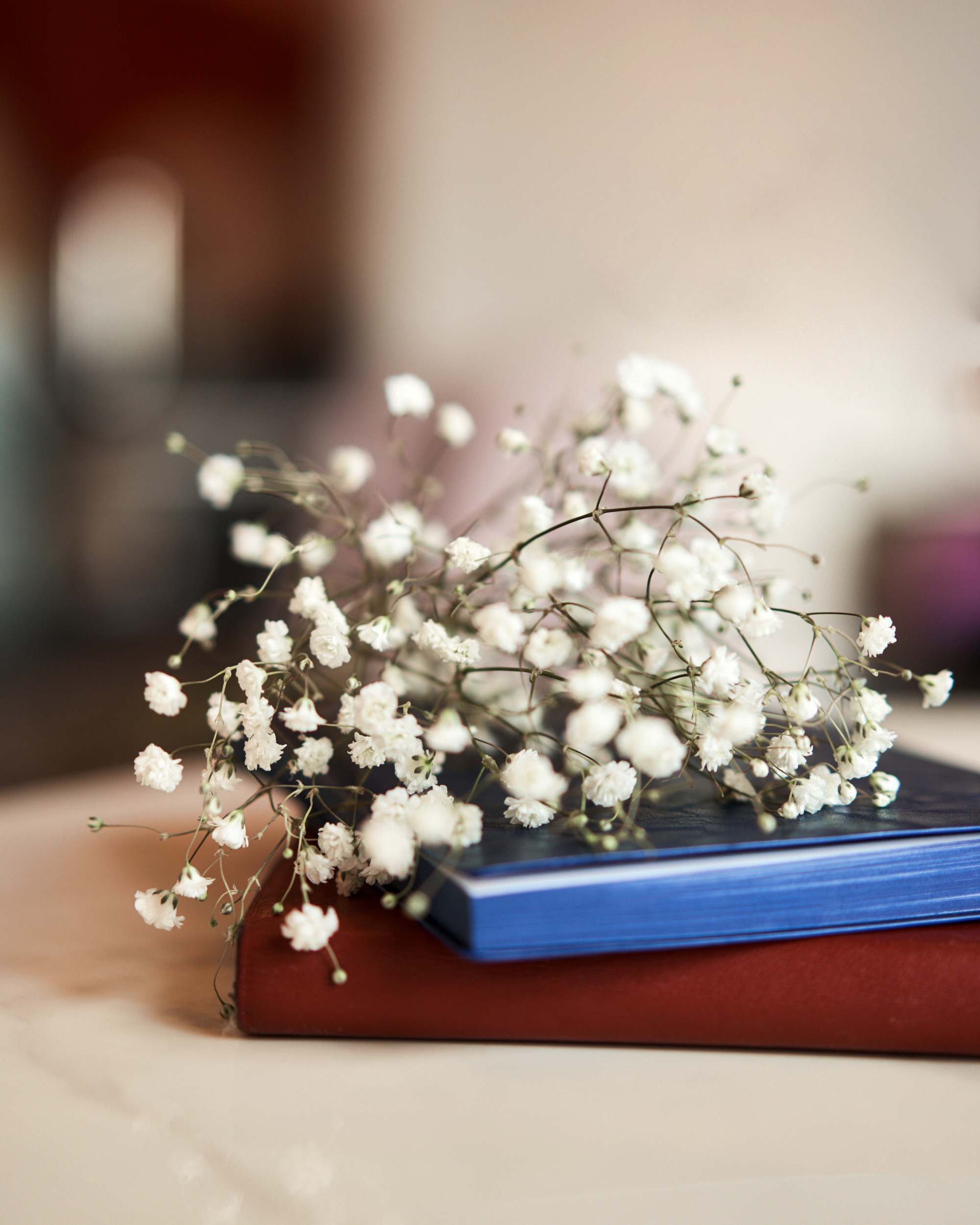 Блог маркетинг. Лилия Павлова фотограф в Санкт-Петербурге Питер СПб Фотопрогулки Спб lilyincity