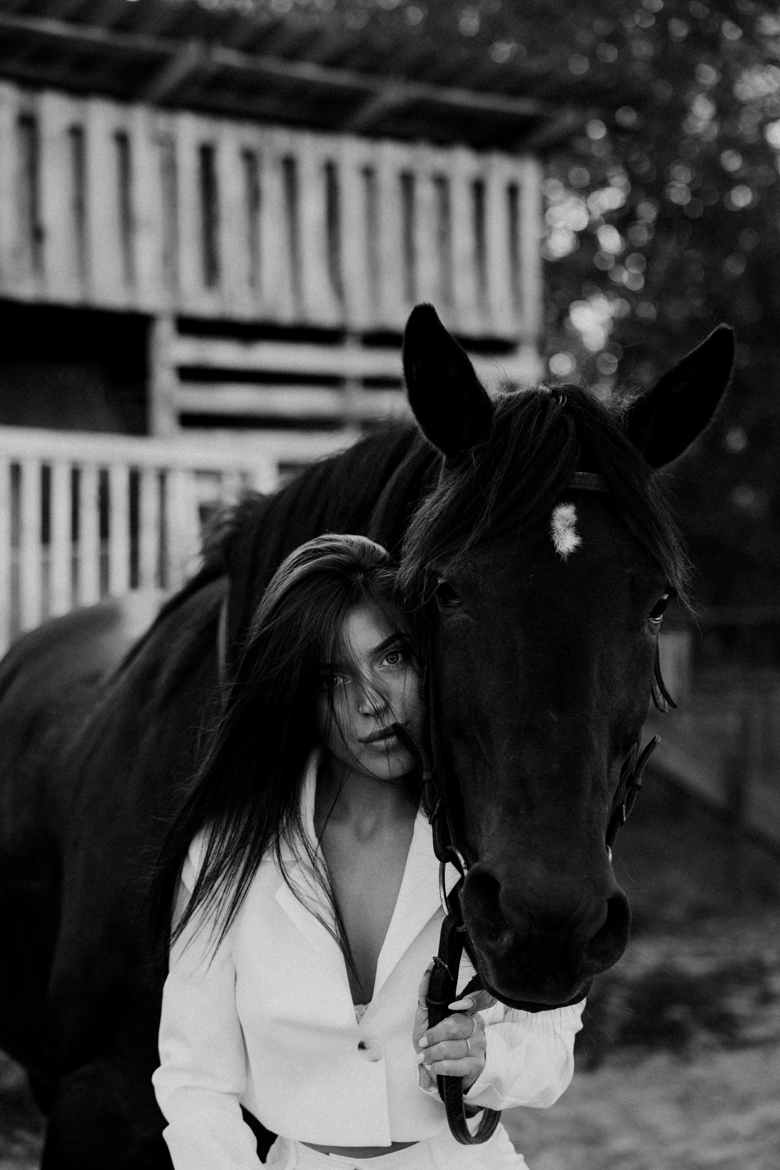 Конные. Главная