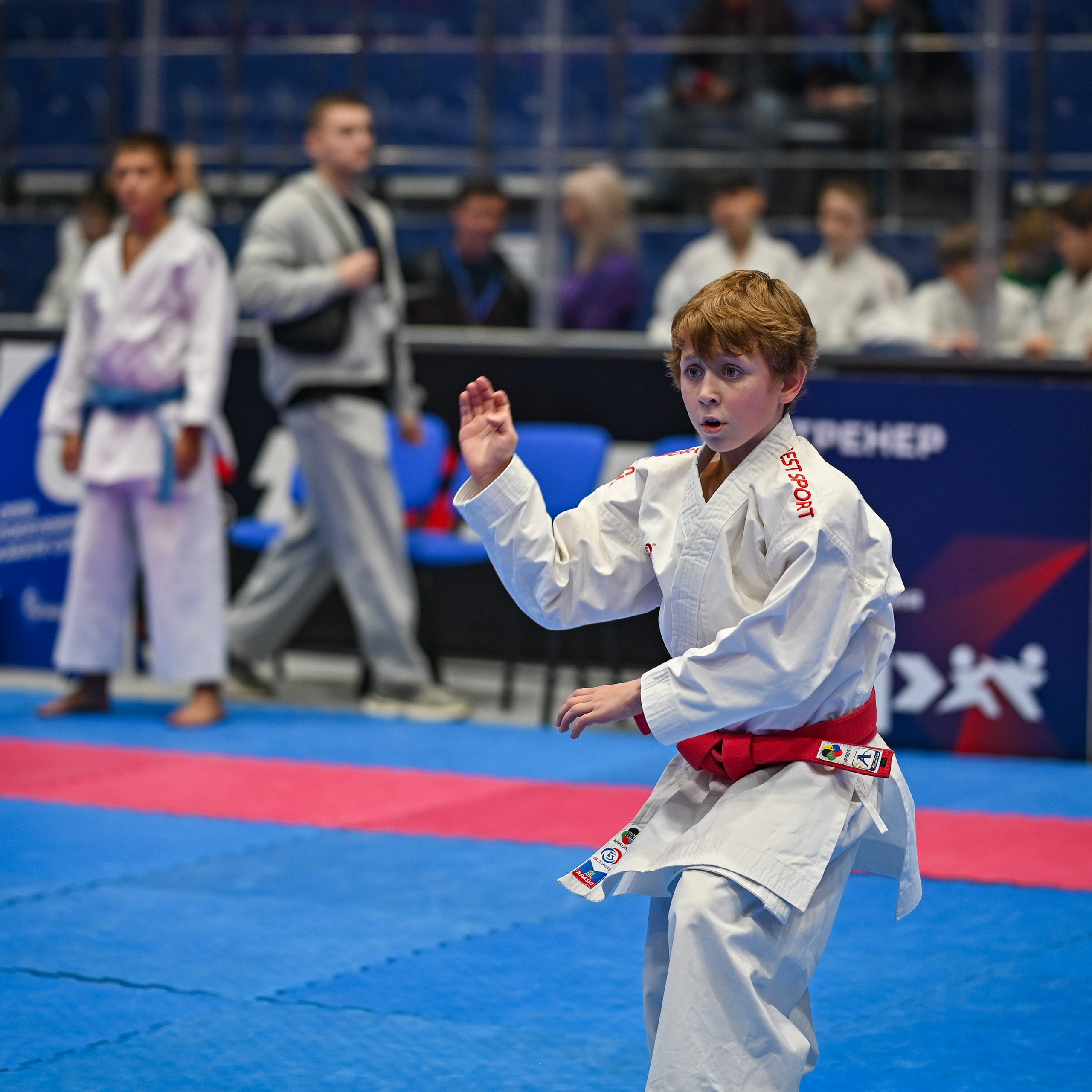 Кубок А. И. Покрышкина. Achernyshov.ru