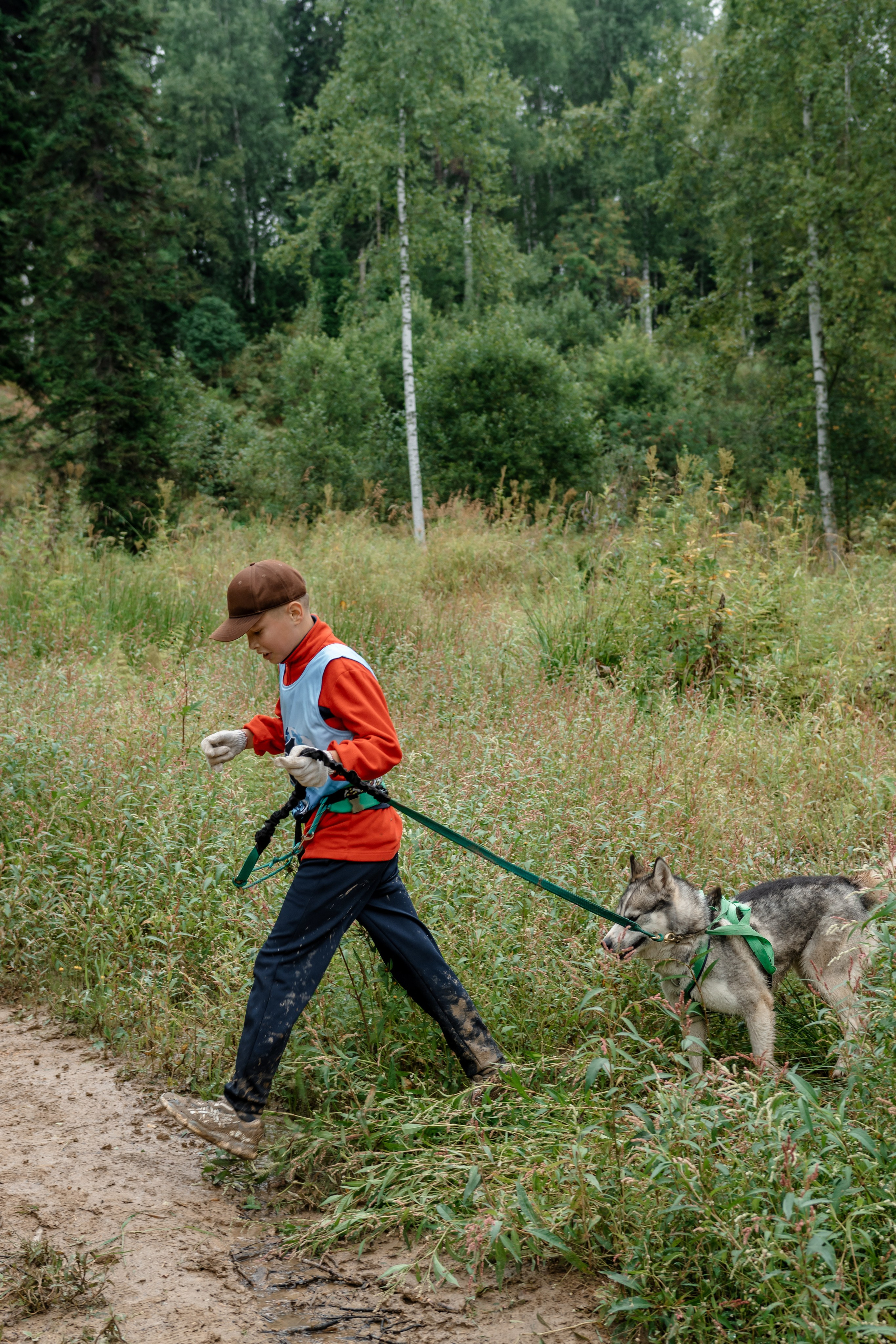 Дог-треккинг