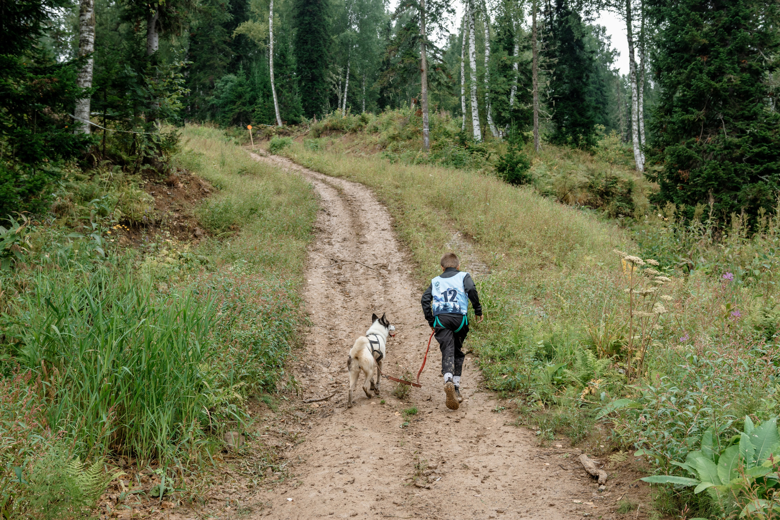 Дог-треккинг