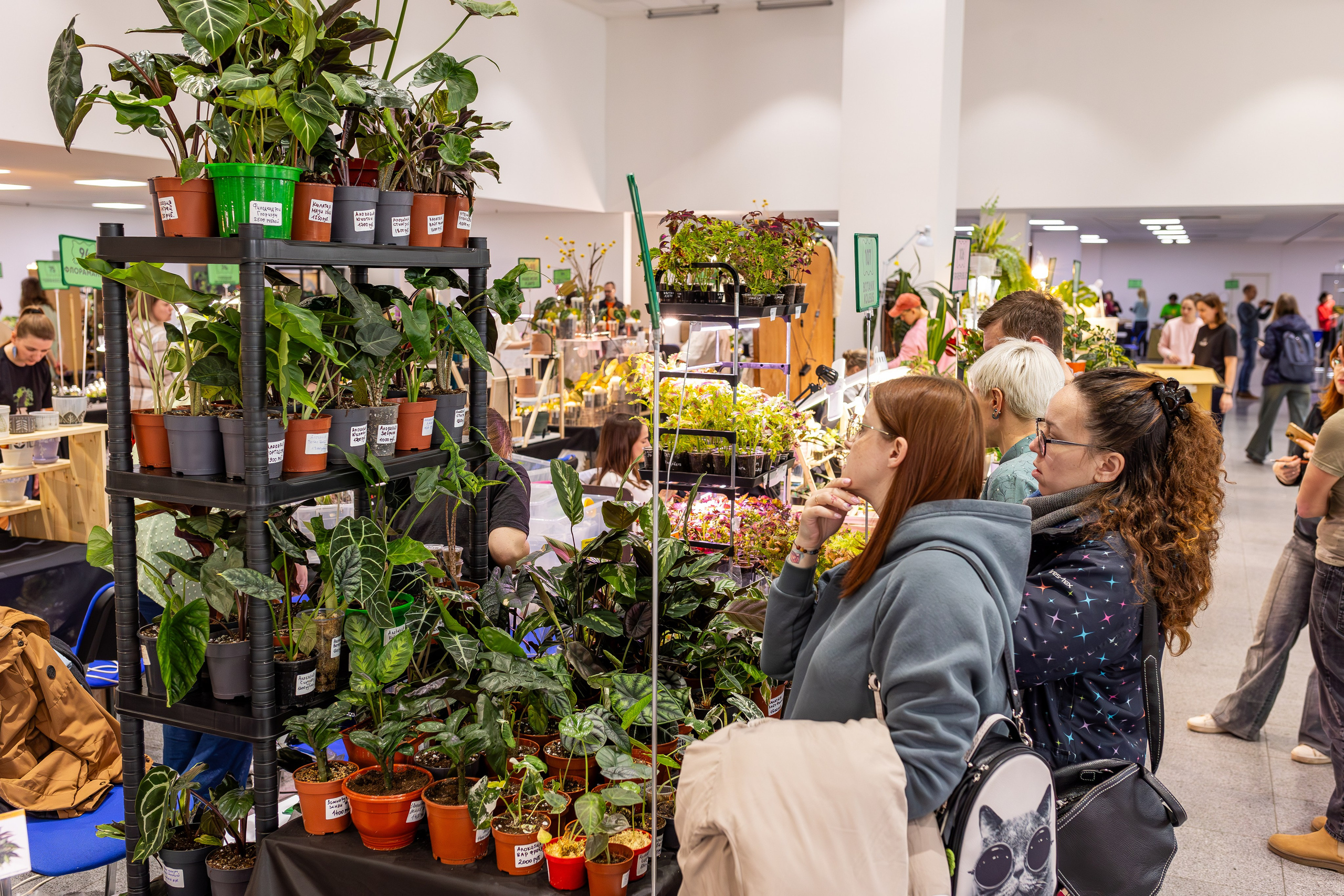 Монстериум апрель 2025. Александра Куликова фотограф, Москва