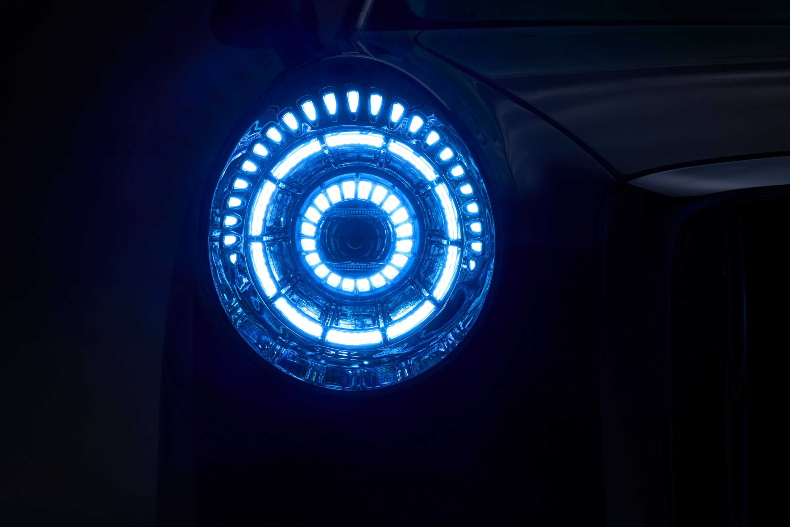 Hongqi Golden Sunflower. Creative photographer Denis Klero