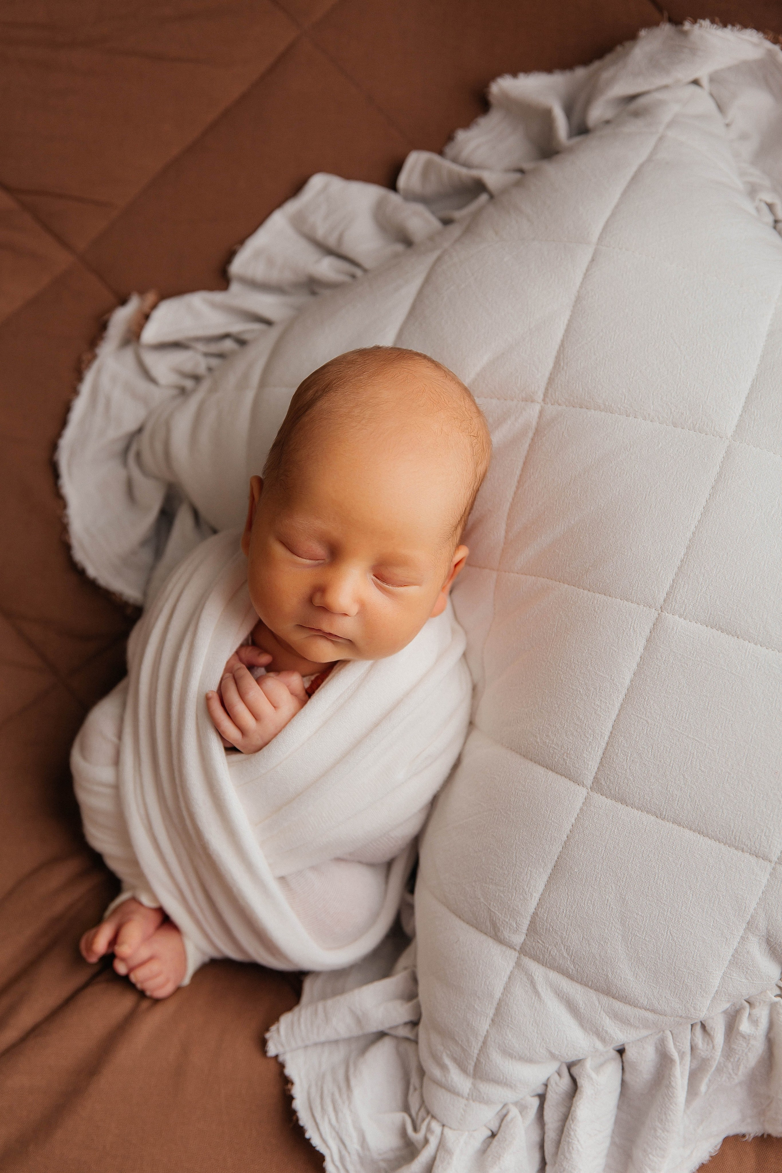 Лев. Фотограф новорожденных Тверь Диана Муляева