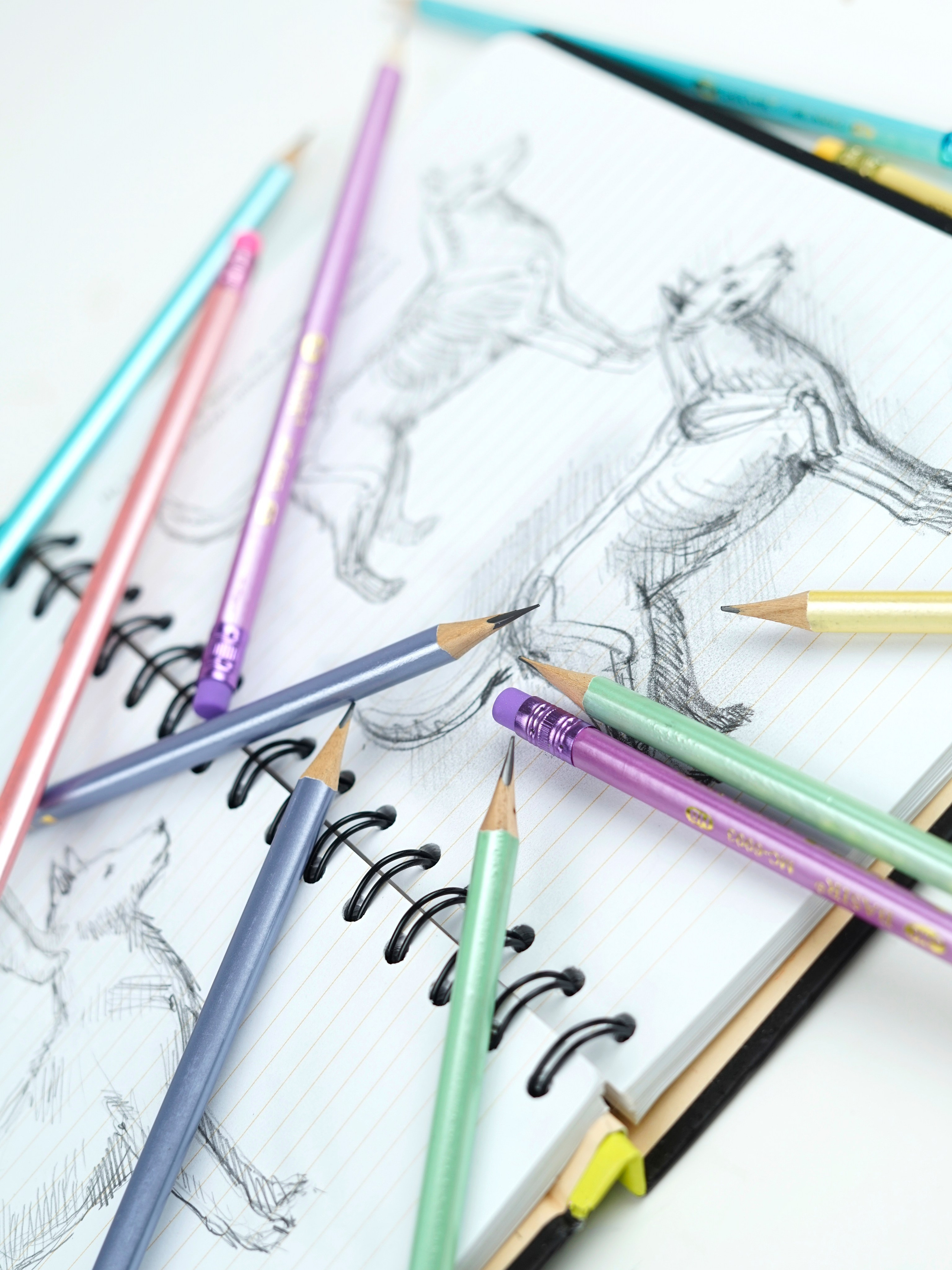 Канцелярия. Концептуальный фотограф Шлыкова Ольга