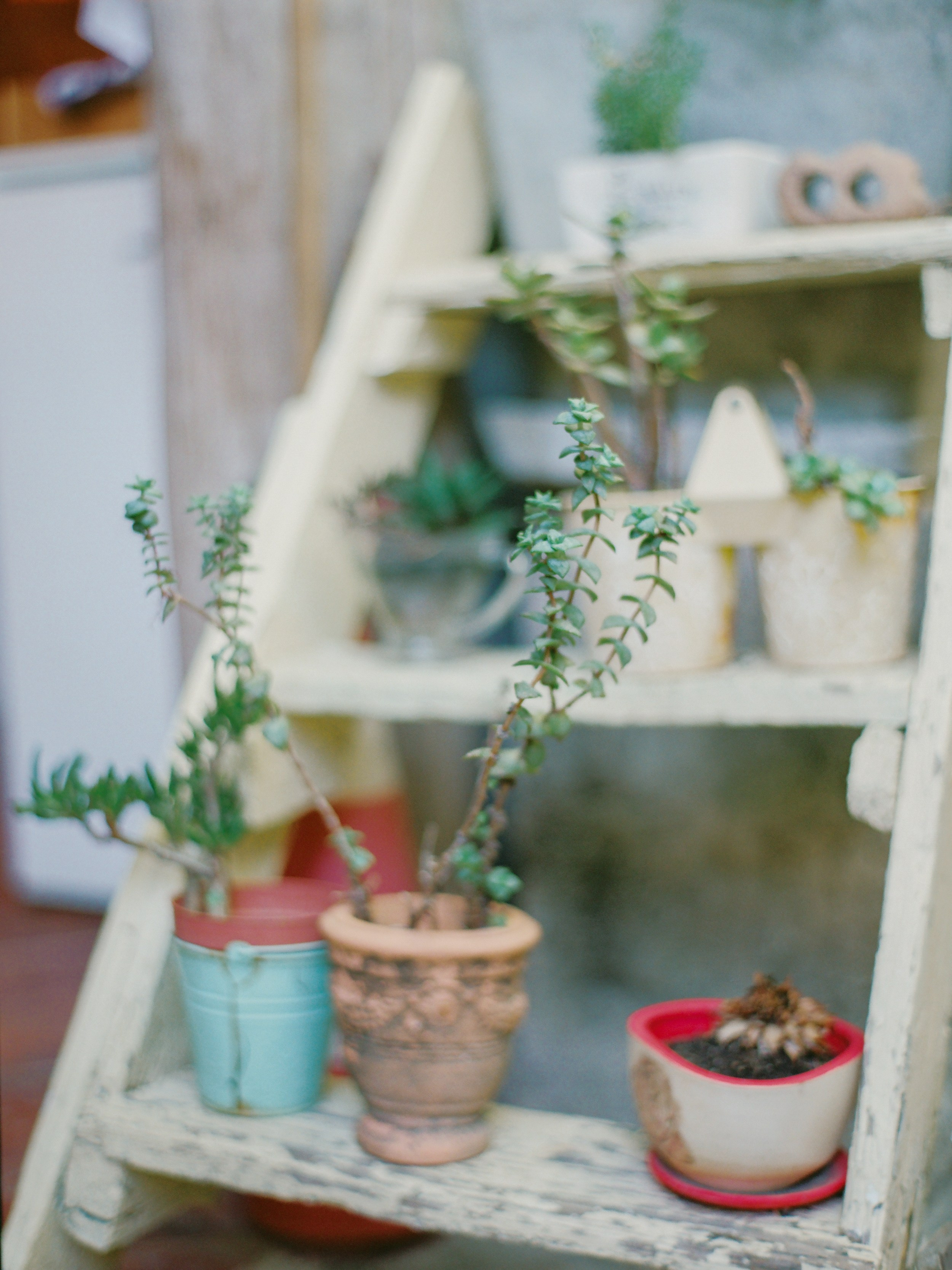 Свадьба в Черногории. Изящная фотография | Ксения Милушкина
