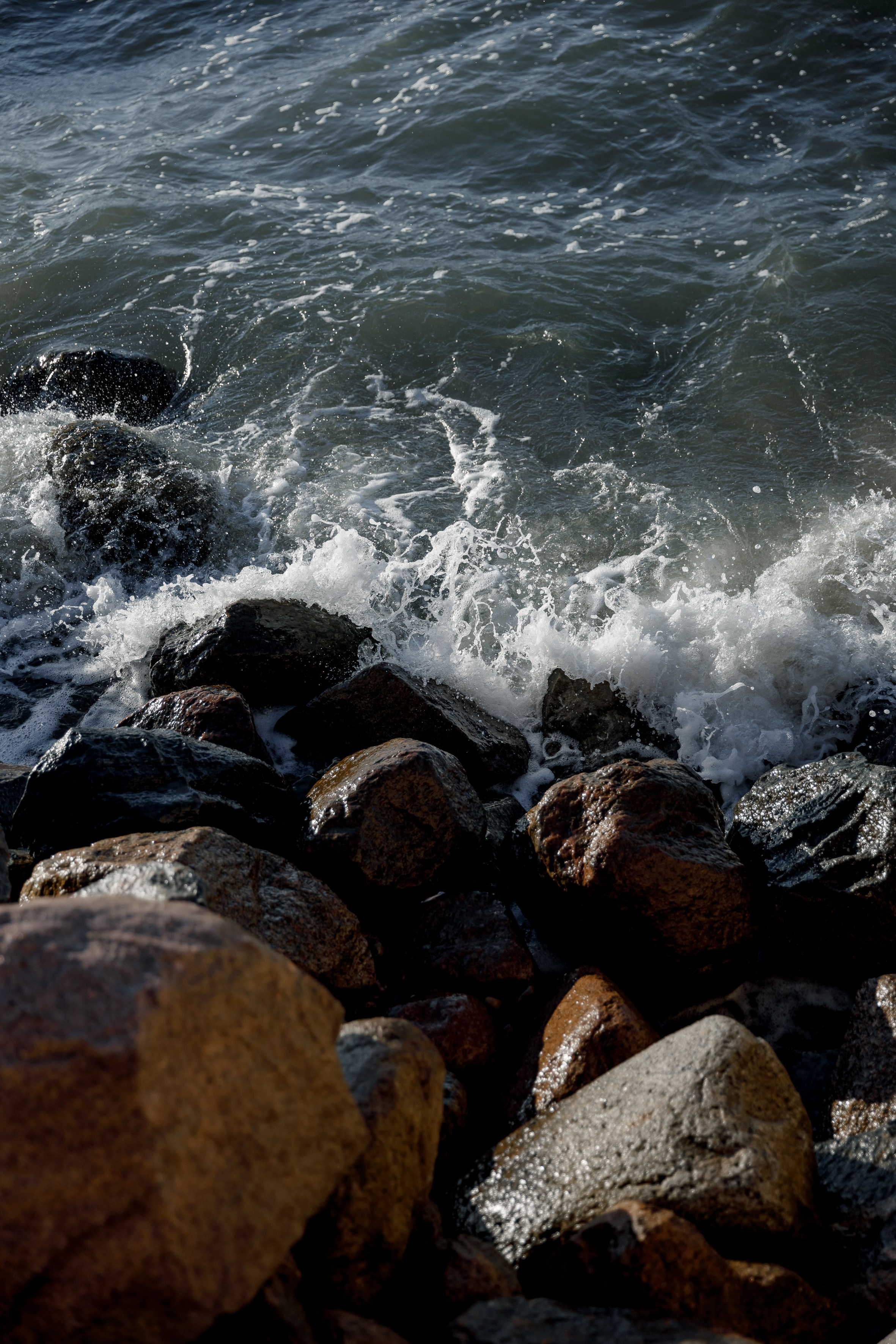 Семейная прогулка. Свадебный фотограф Татьяна Аберле свадебный видеограф Роман Аберле Калининград