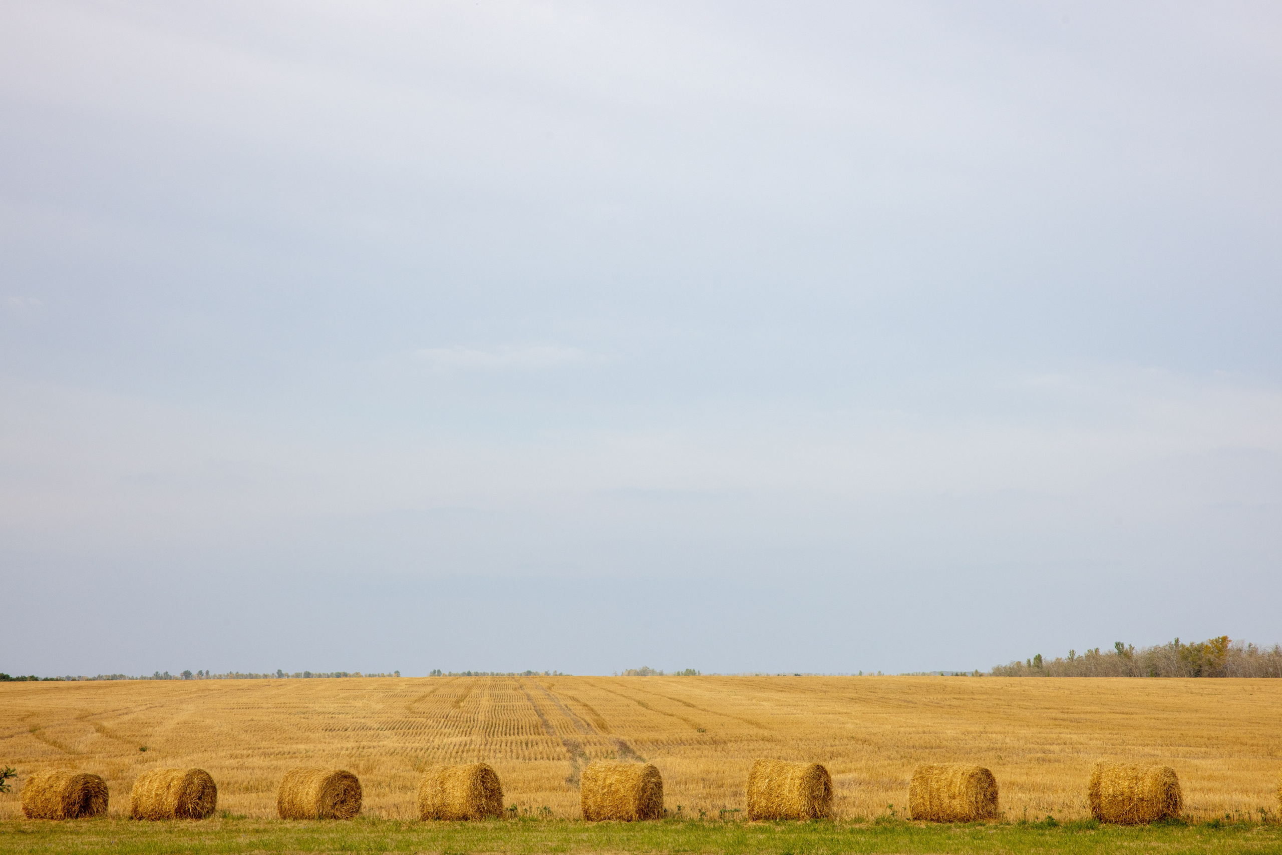 Куликово Поле. Фотограф в Туле Крупский АнДРей. Фотостудия «КАДР71» в Туле