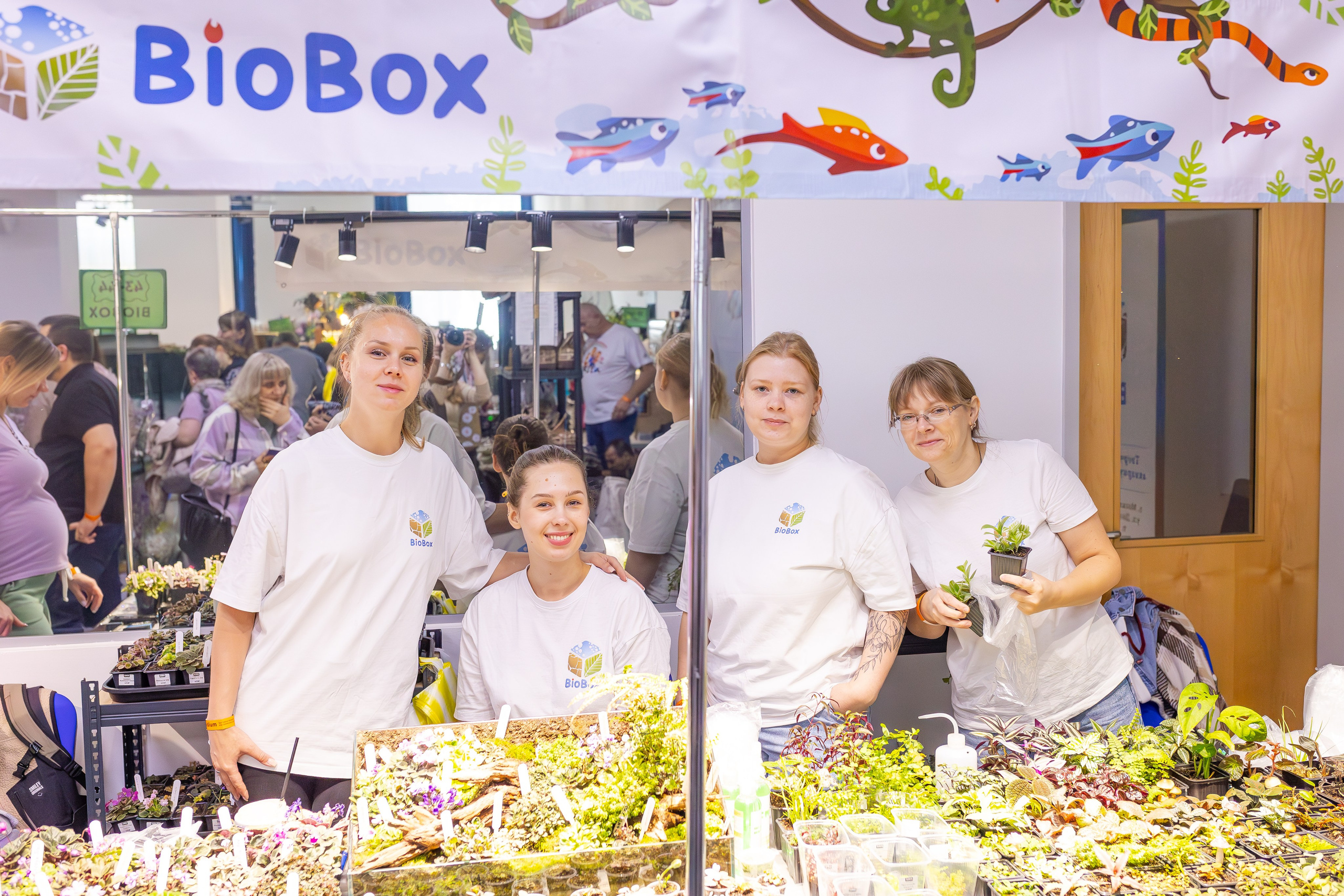 Орхидиум сентябрь 2025. Александра Куликова фотограф, Москва