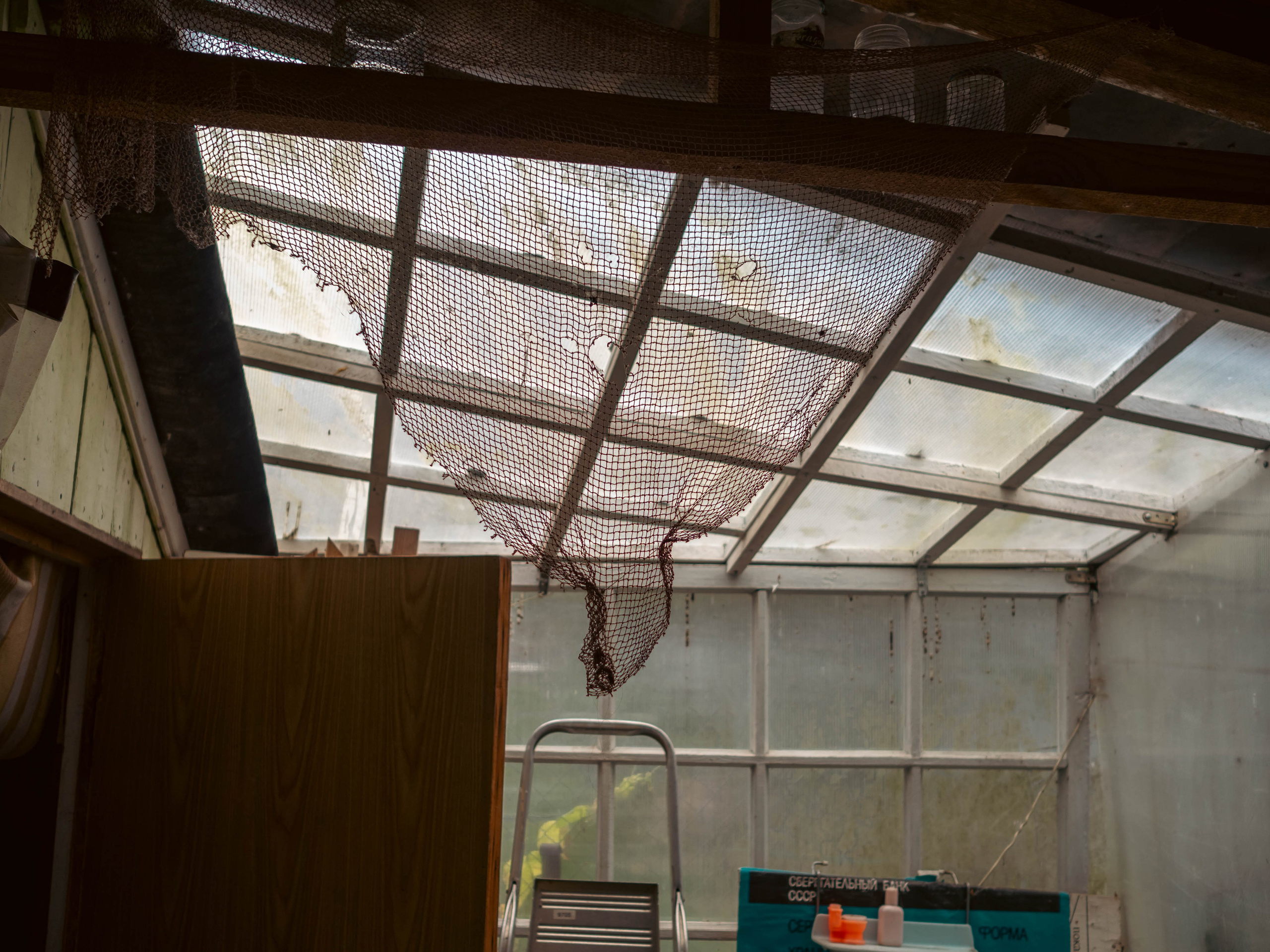 20230916 Дача. Дмитрий Ремизов. Фотография, как хобби