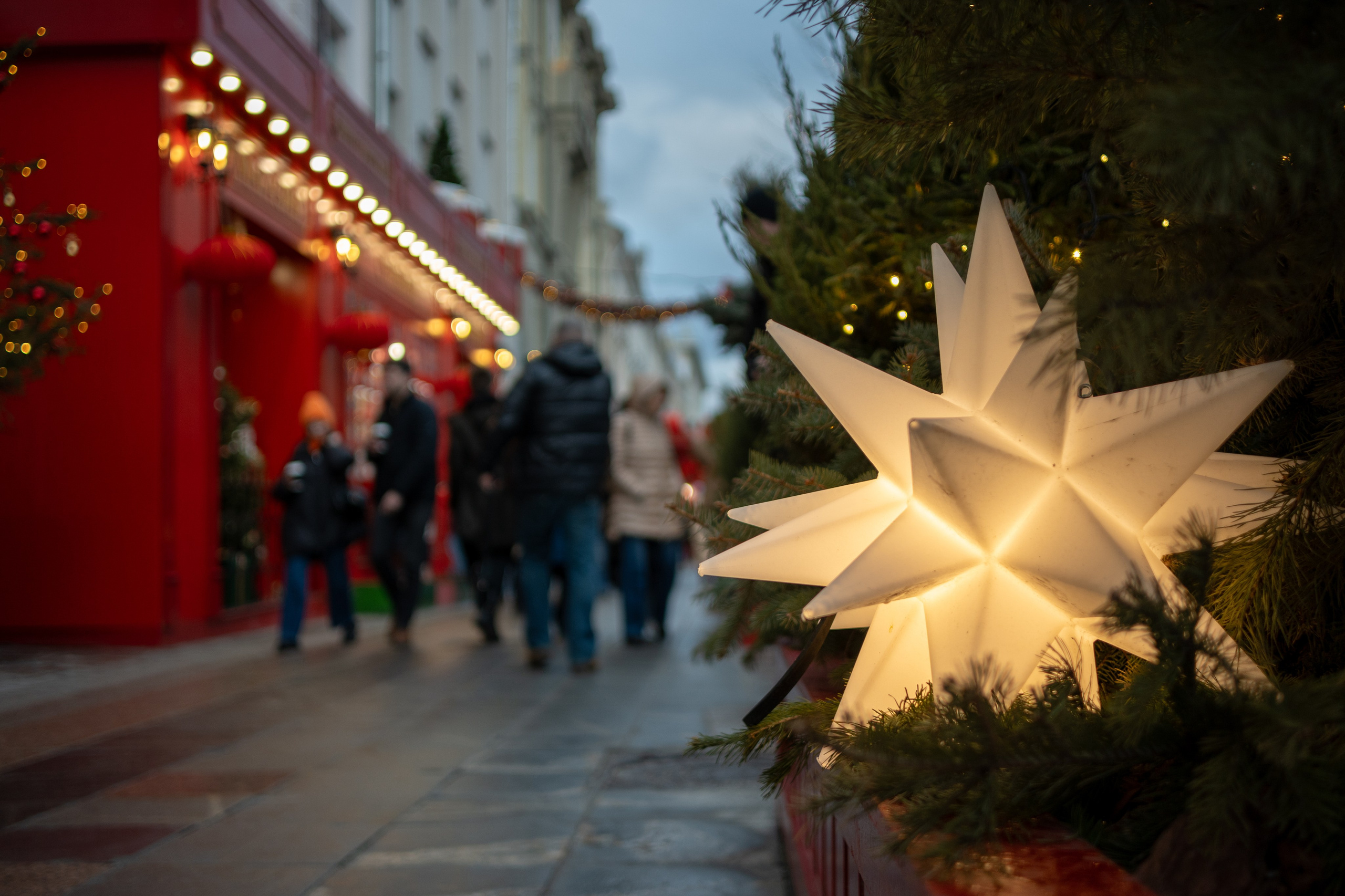 20250202 Белорусская-Охотный ряд. Дмитрий Ремизов. Фотография, как хобби
