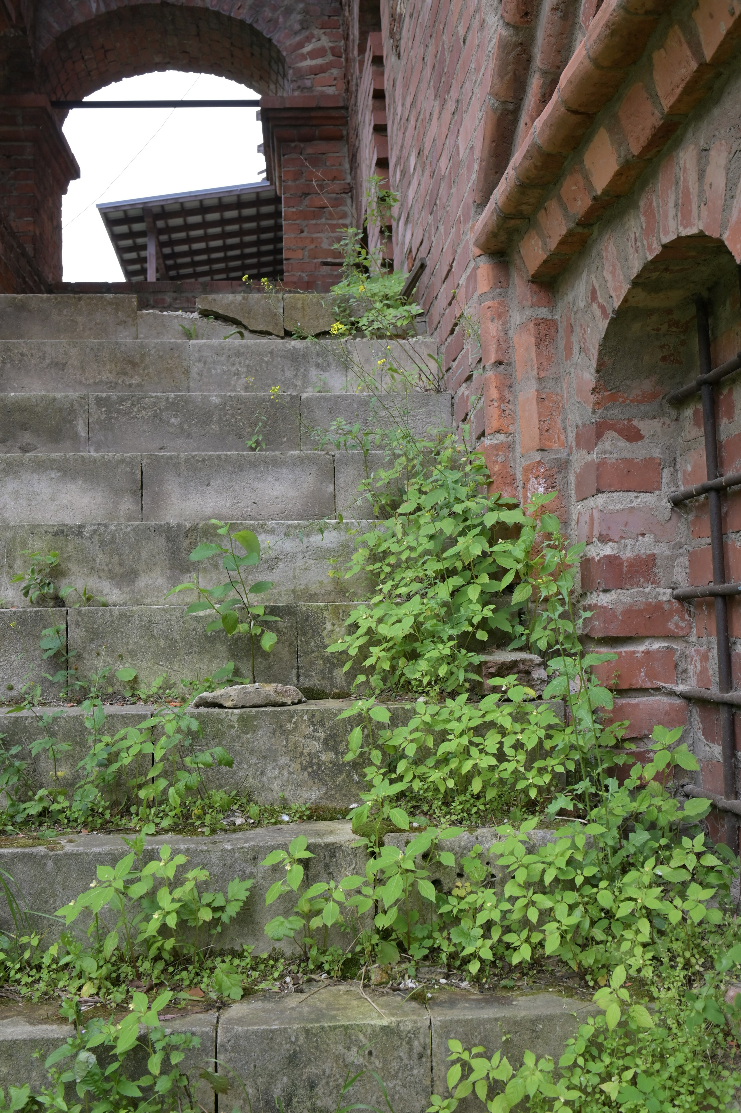 20240616 Крутицкое подворье. Дмитрий Ремизов. Фотография, как хобби