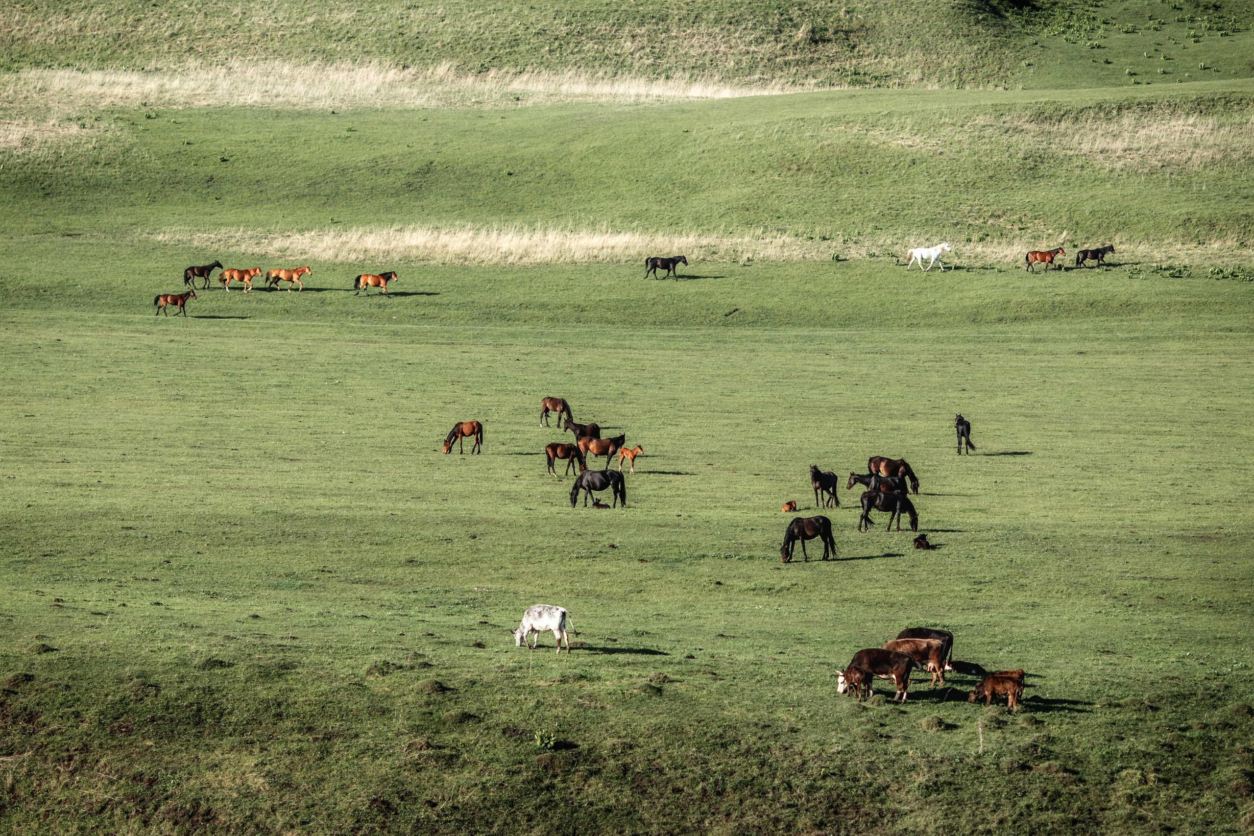 КЧР май'24. BrisArts