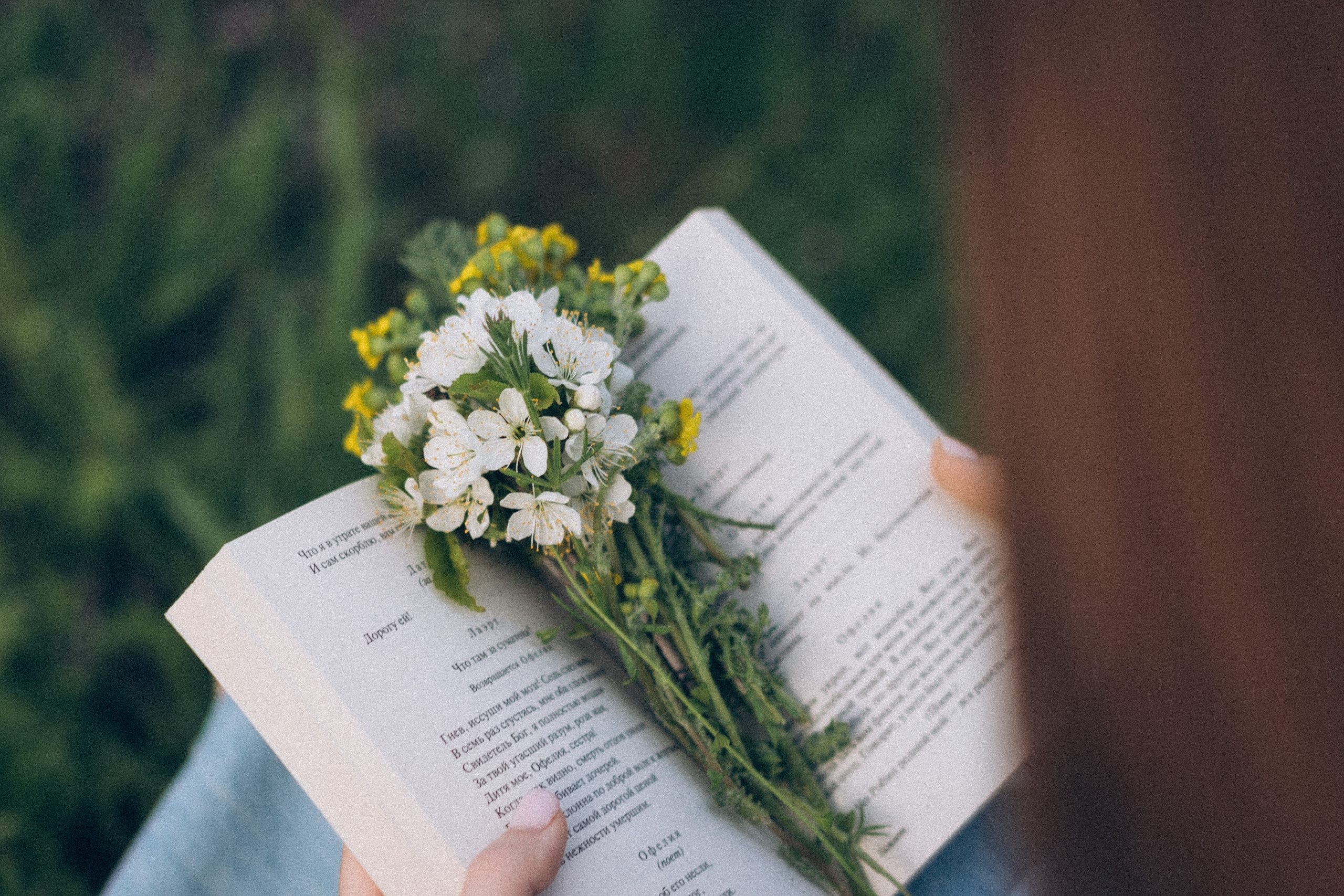 Весна. Фотограф в Баку Екатерина Ракитянская