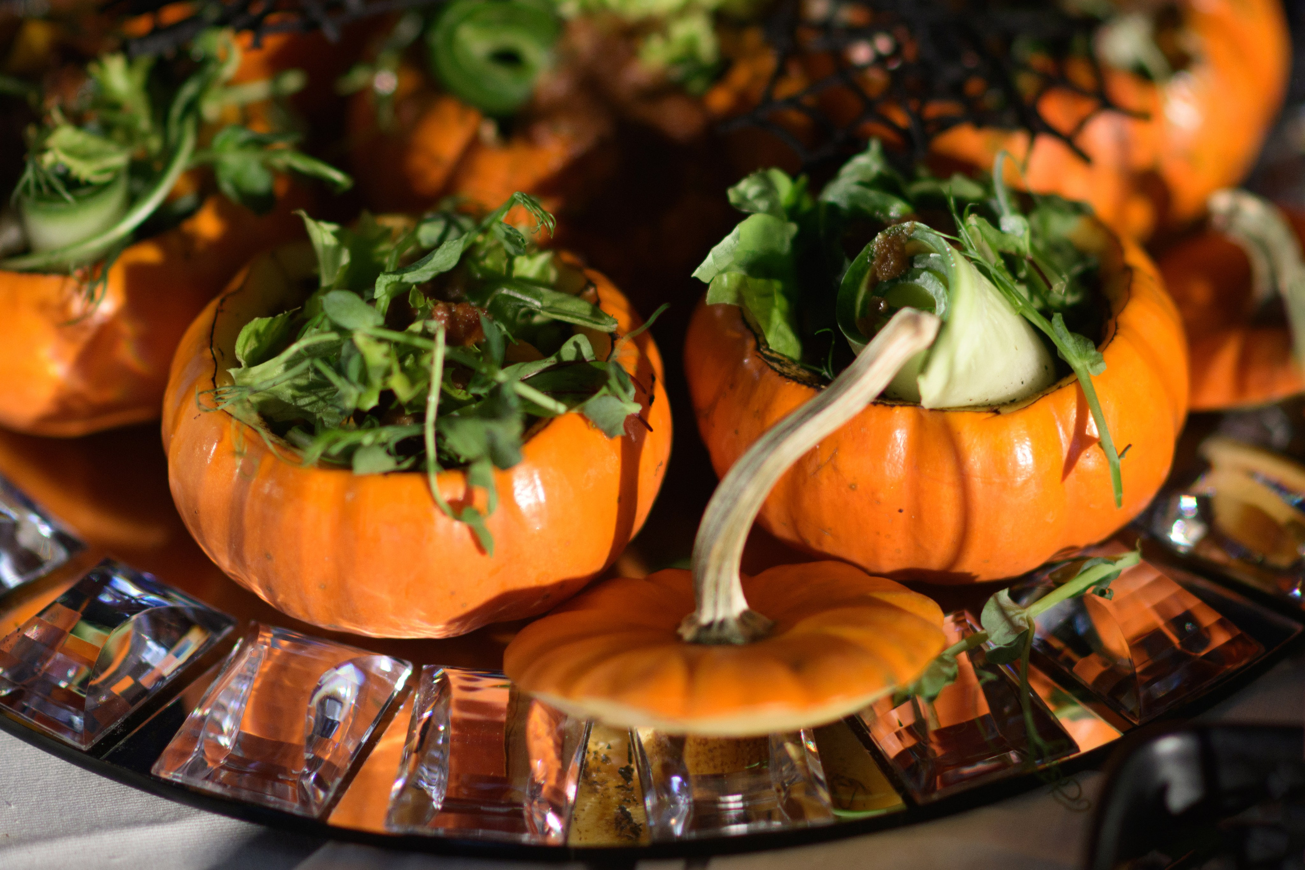 Decor by Favorite catering. Свадебный фотограф в Минске