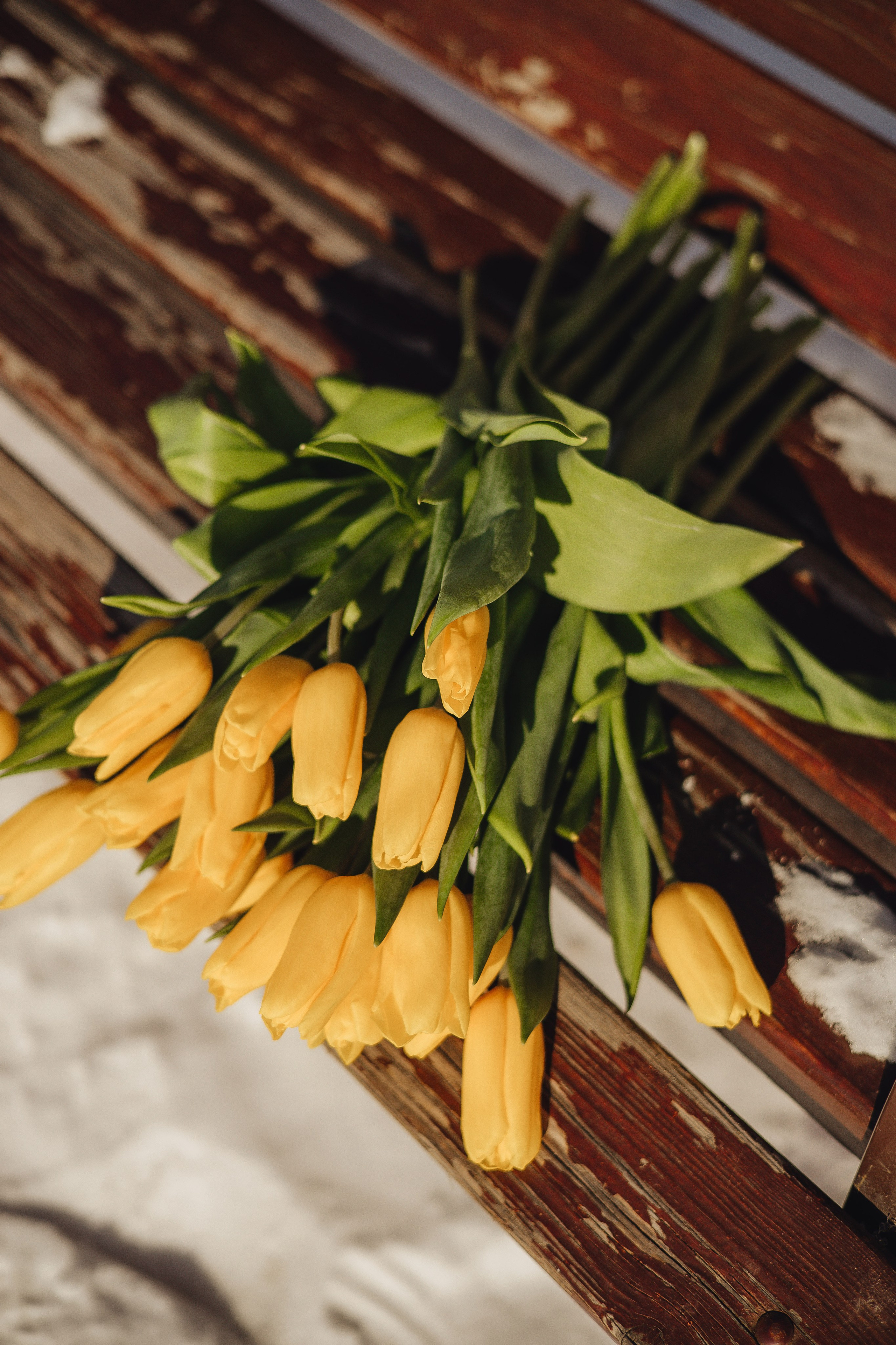 Аня. Фотопрогулка. Свадебный и семейный фотограф Пушкин Царское Село СПБ Питер Санкт-Петербург и Рязань Ольга Козлова