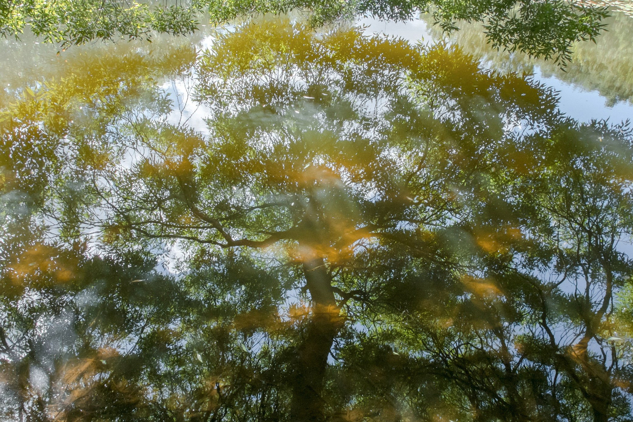 Симуляторы (Каталог № 3). Главная