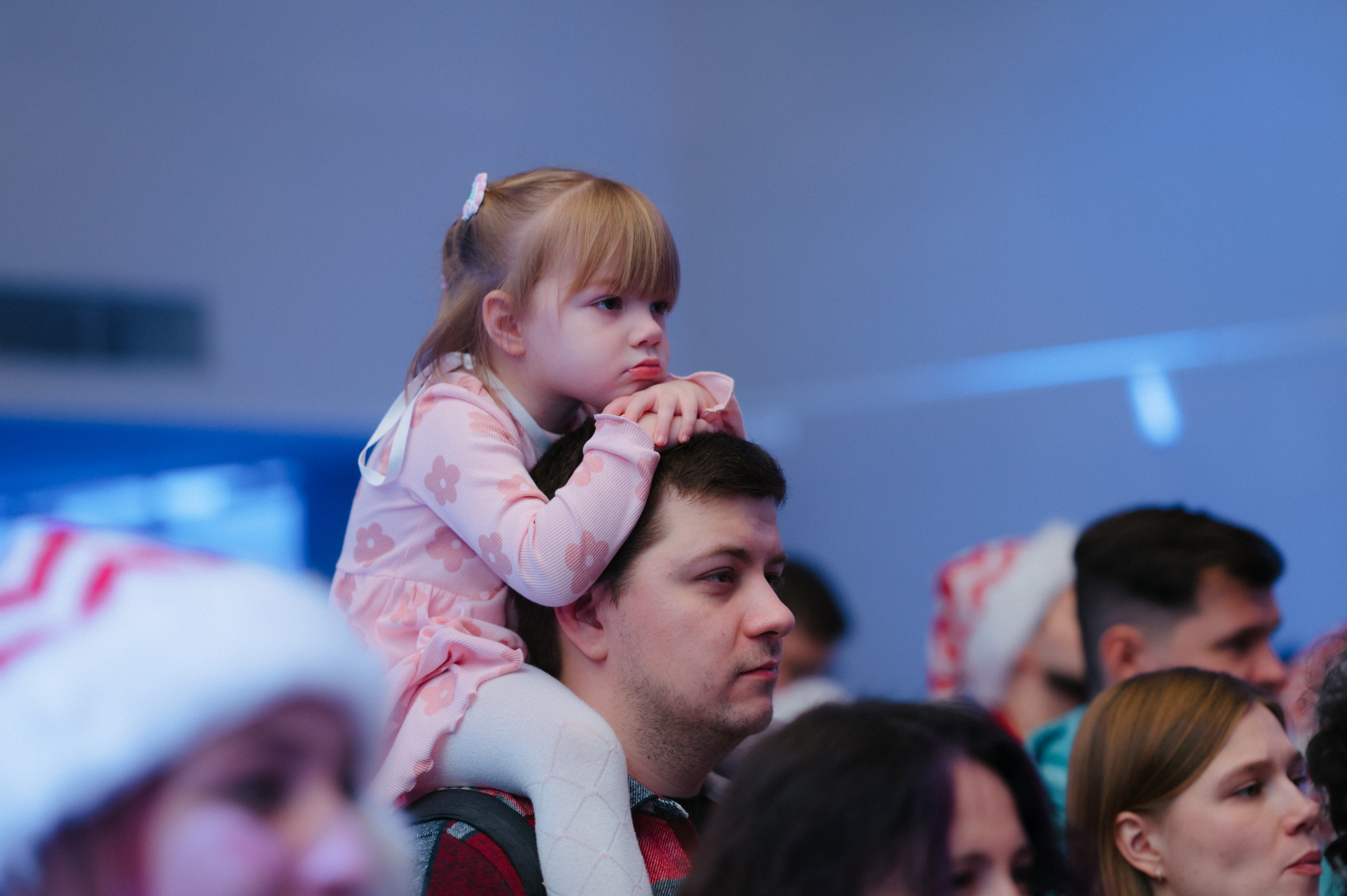 Тайны зимнего леса. Komonev