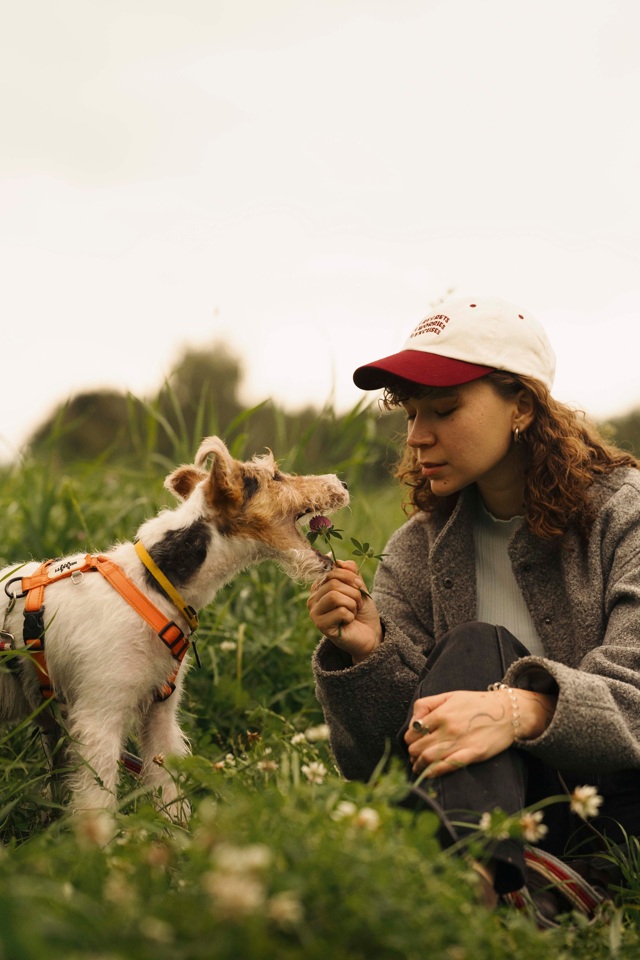 Мартин. Фотограф- анималист Александра Матвеева