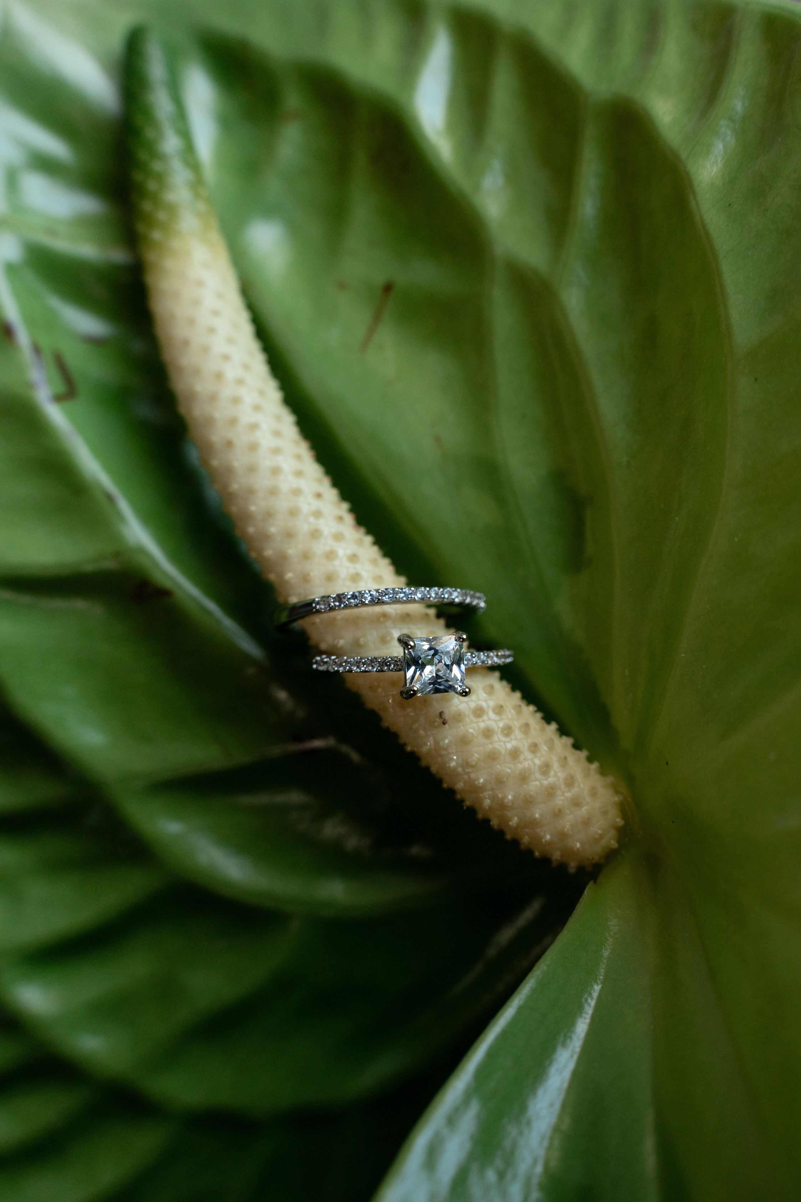 Arvedi. Maria Anistratova | Destination Photographer, Videographer & Drone Pilot — Lake Como