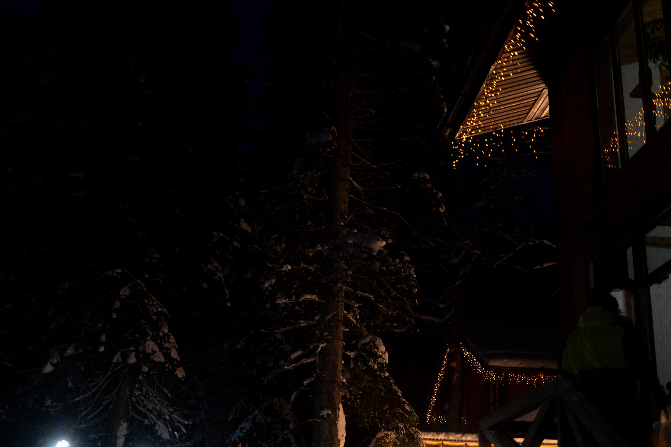 Домбай. Фотограф Александра Волкова | Волгоград