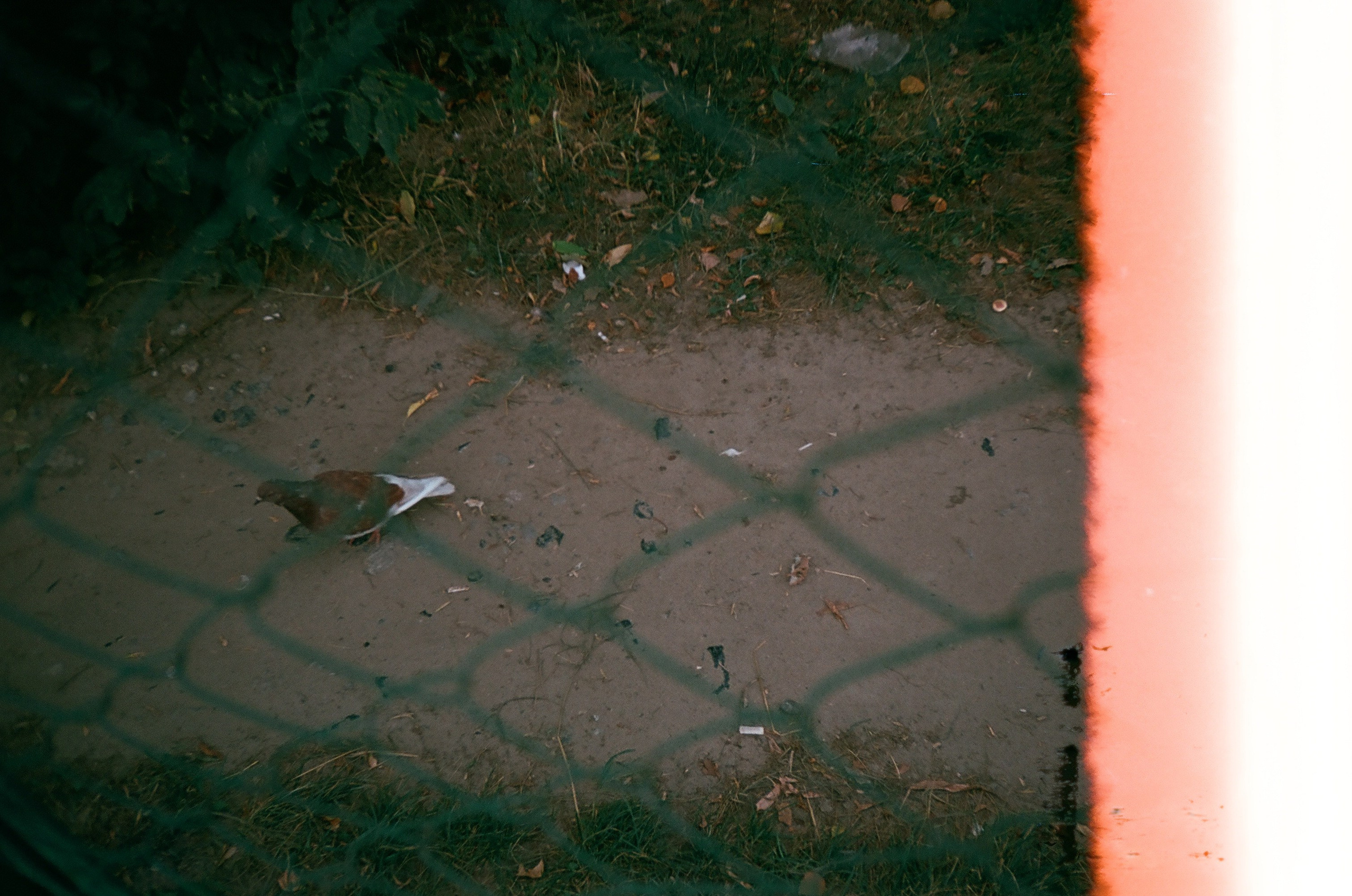 Искать. Подсвечивать. Прятать