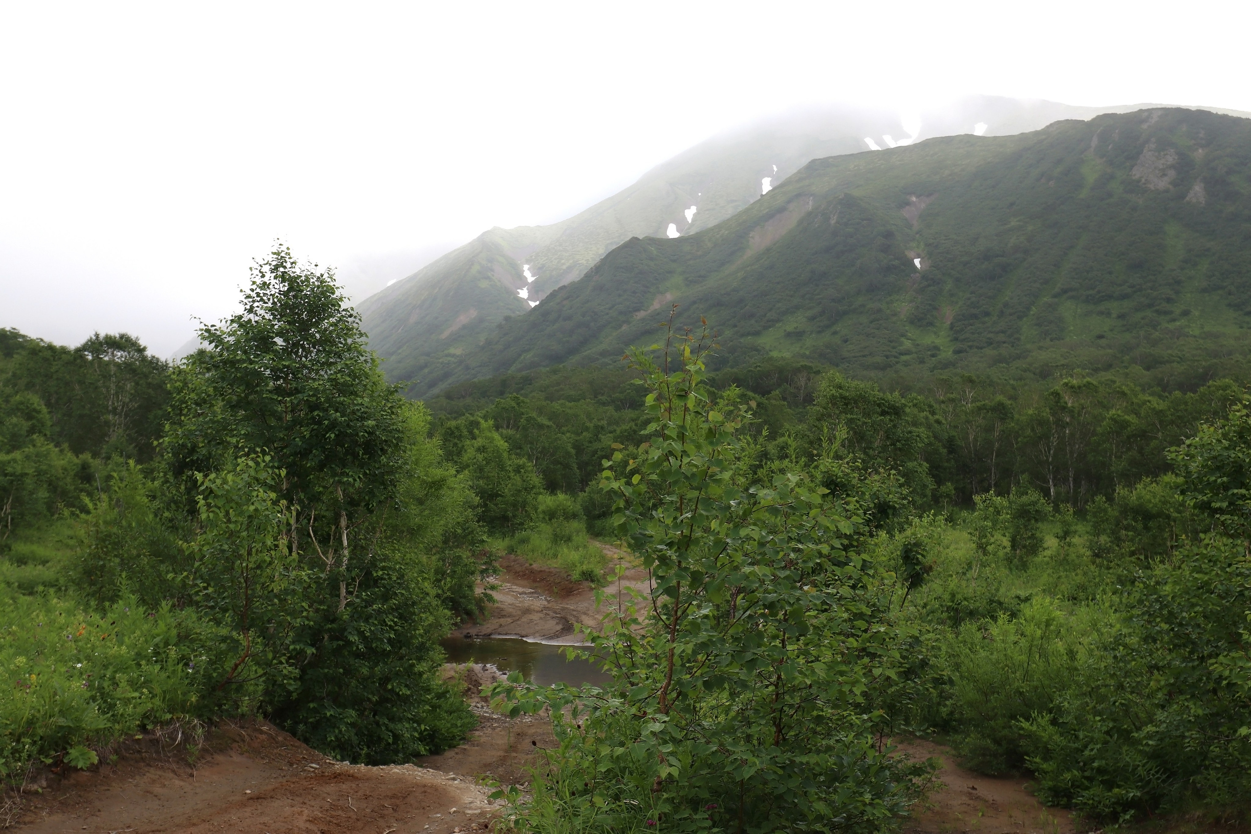 Камчатка и о. Парамушир. Июль 2024. Путешественник-фотограф из Санкт-Петербурга Татьяна Свистулина