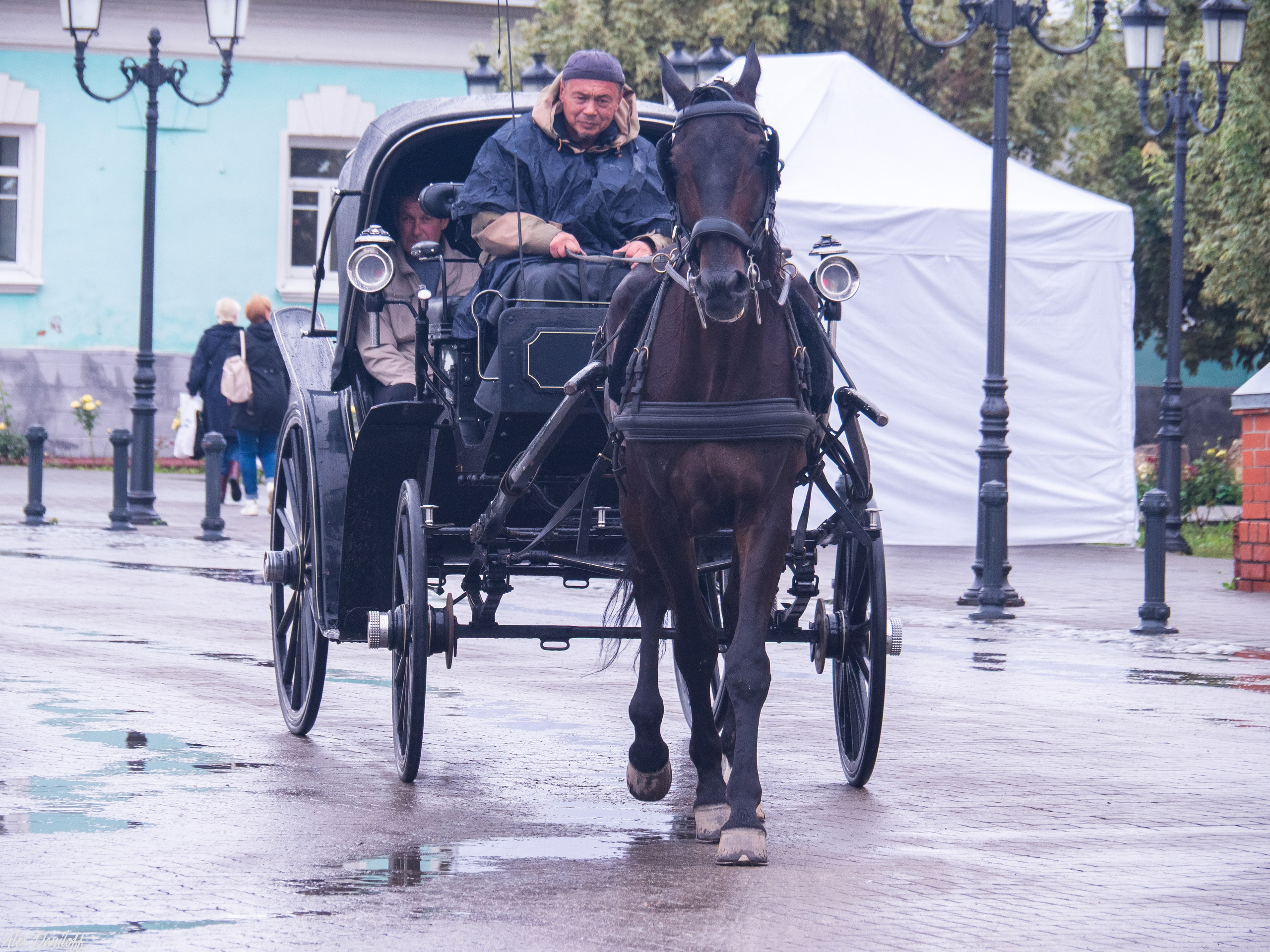 День города Муром 2025. Муром-Инфо. Новости культуры, образования, спорта в городе Муром