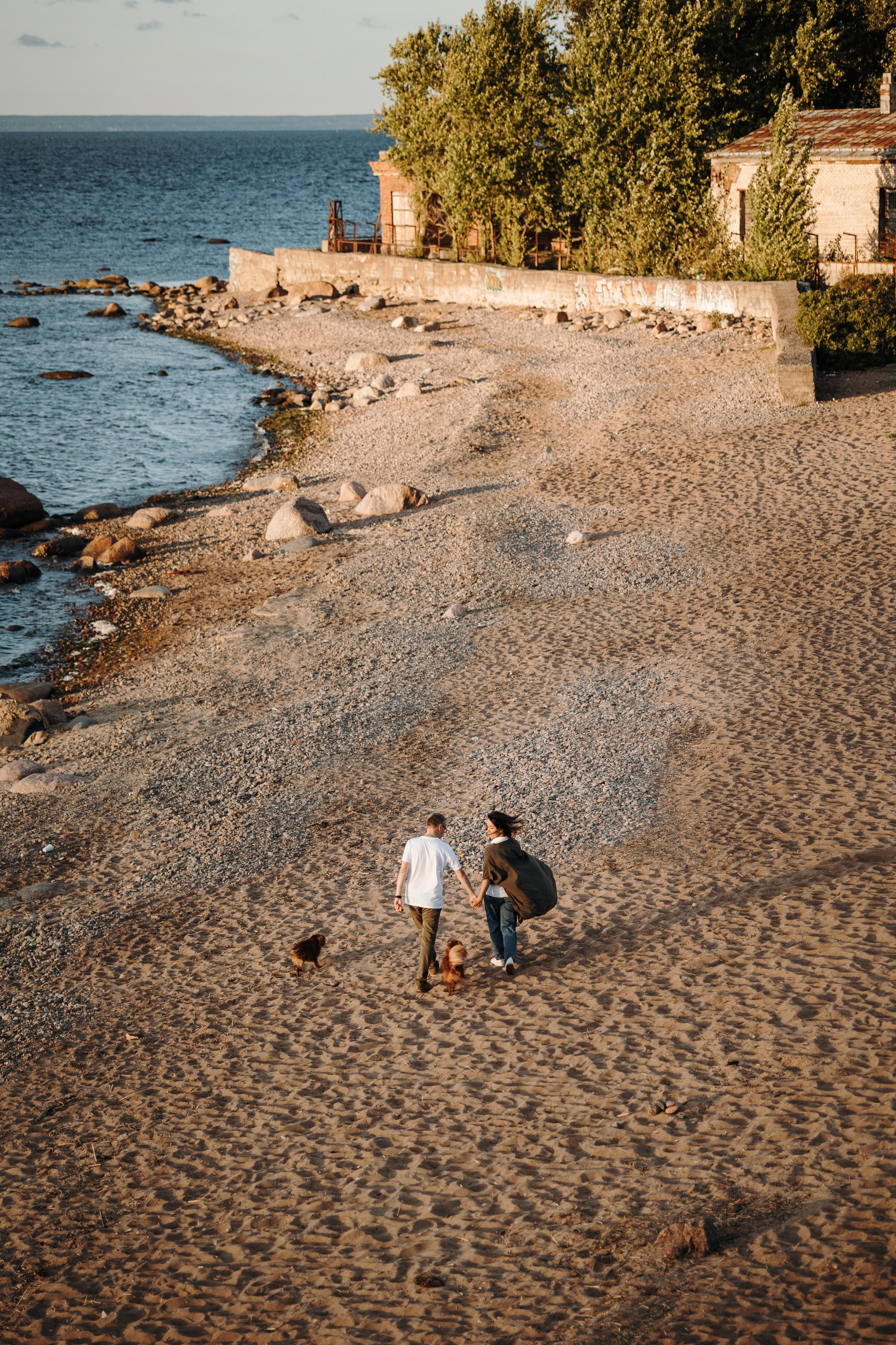 Верон, Гарри и их семья. Фотограф — Анималист | Санкт-Петербург