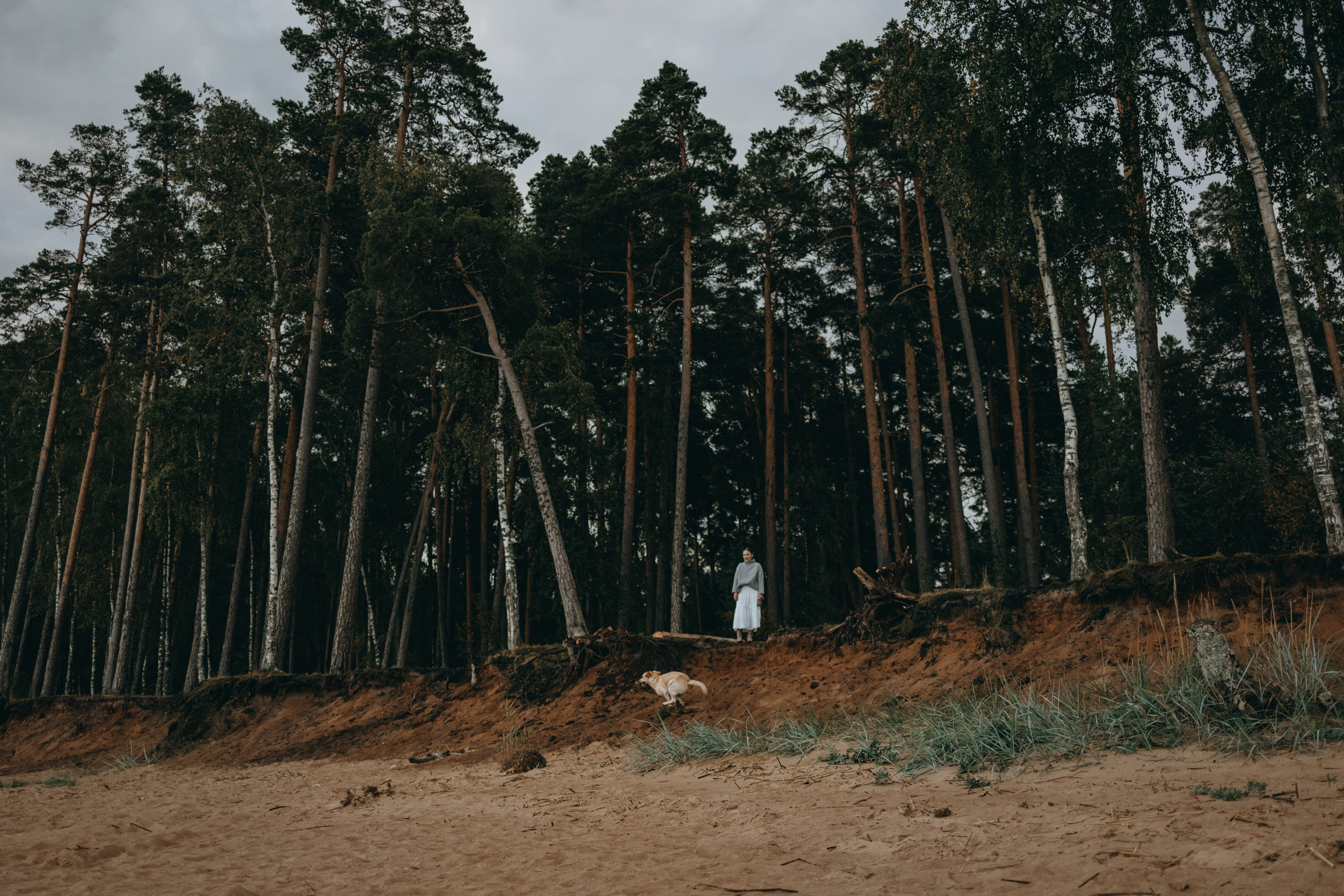 Наташа и Шани. Фотограф — Анималист | Санкт-Петербург