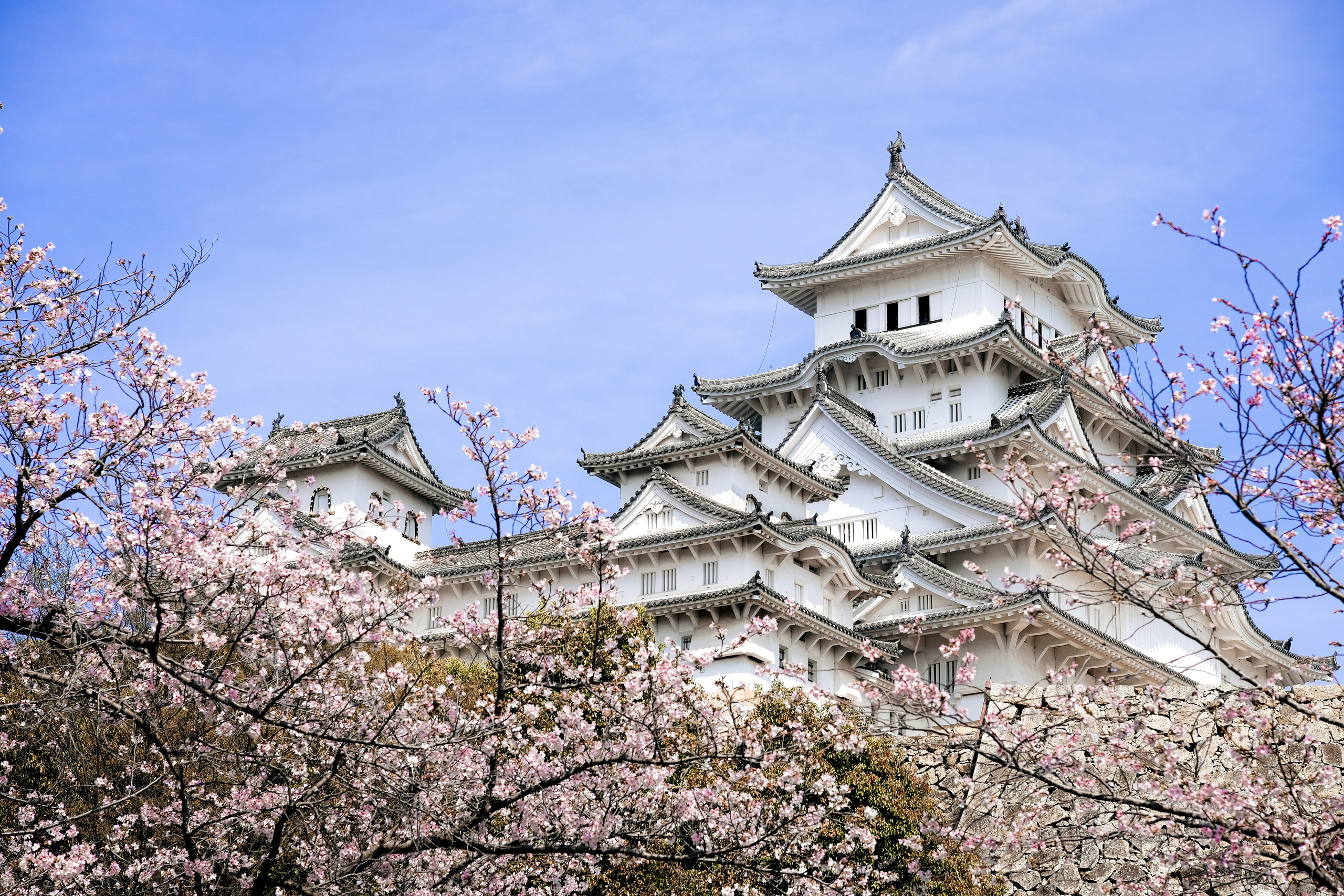 Nippon. Главная