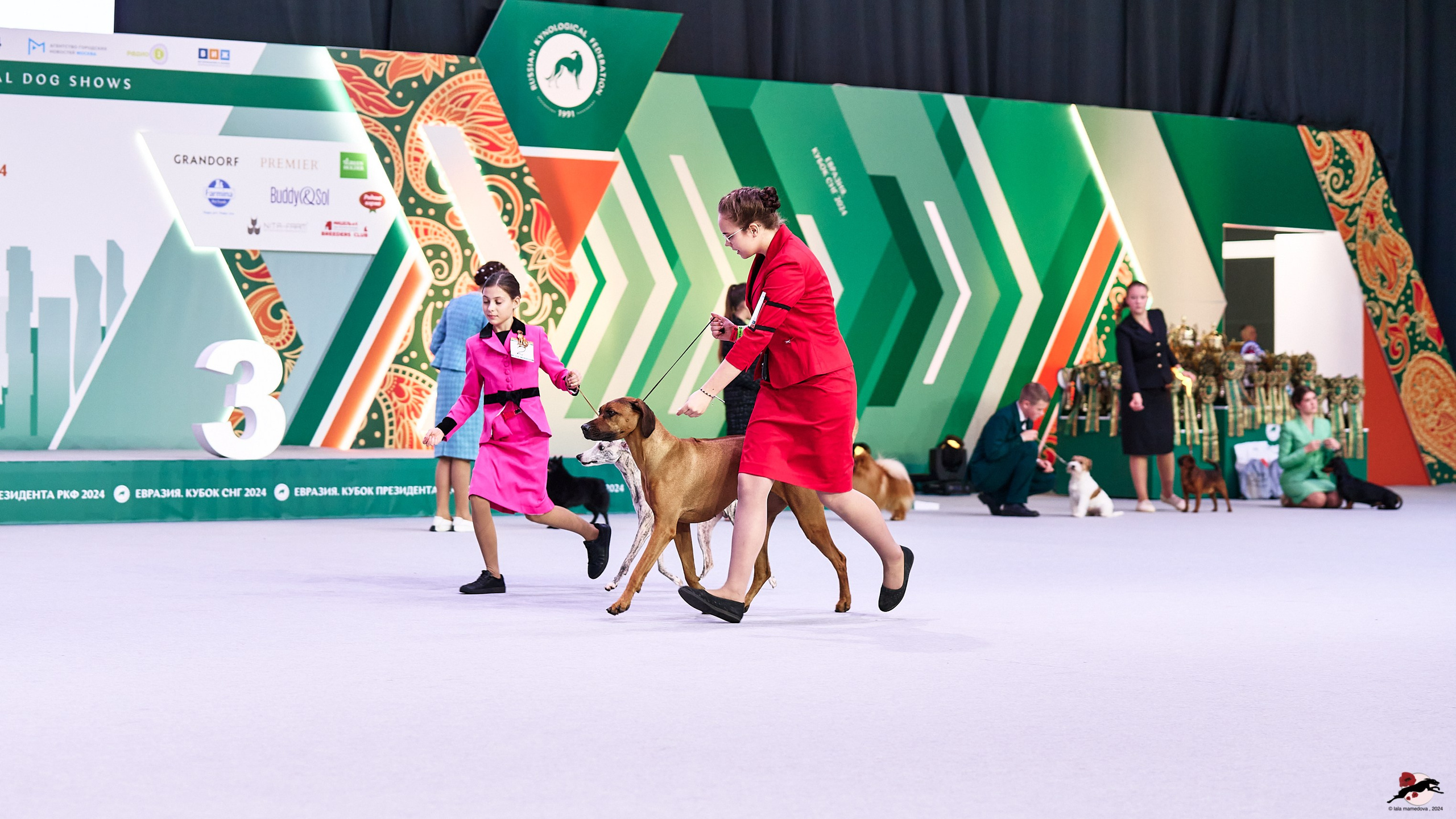 16.11.2024 «ЕВРАЗИЯ. КУБОК ПРЕЗИДЕНТА РКФ 2024»