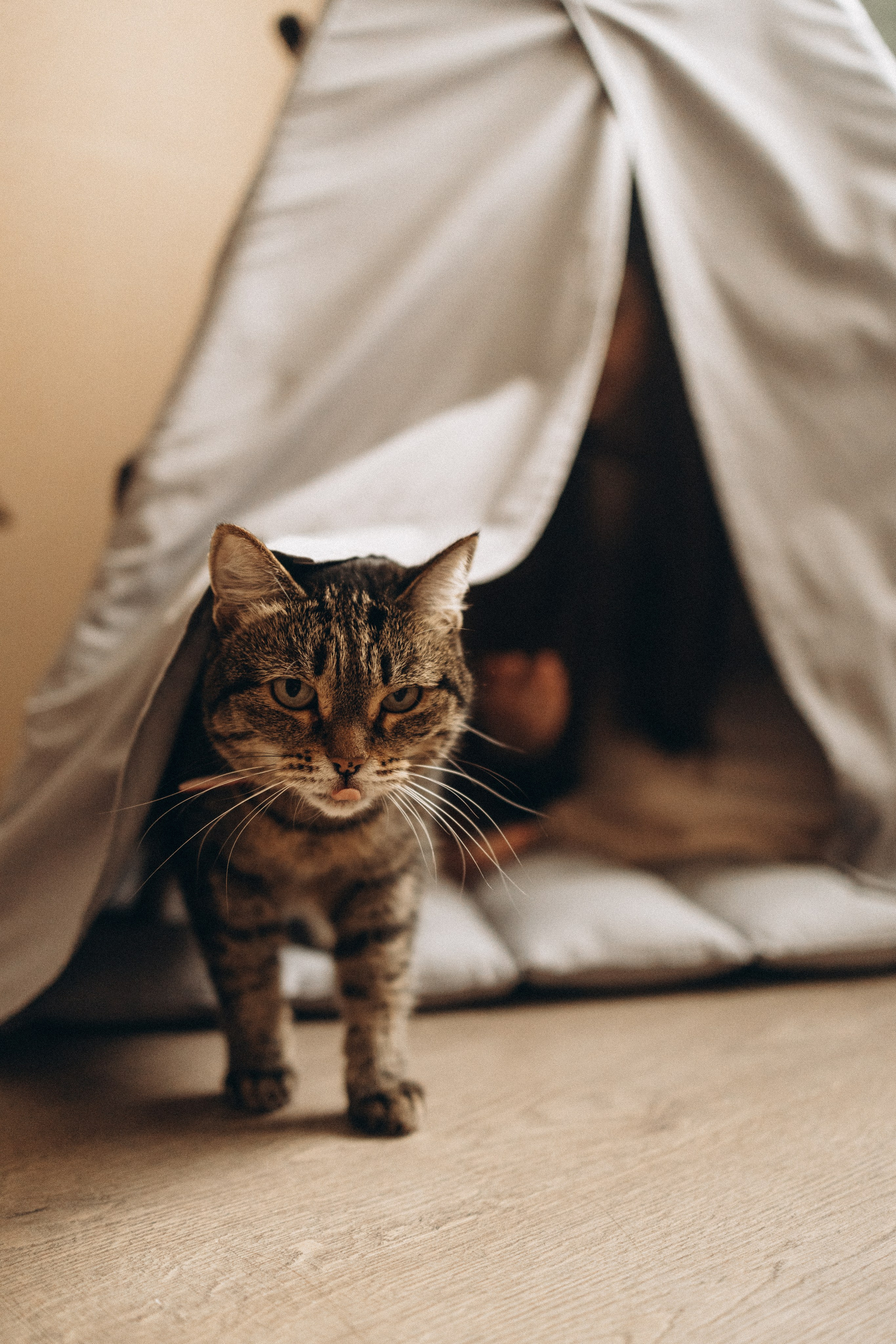 Елена, Константин и Стас