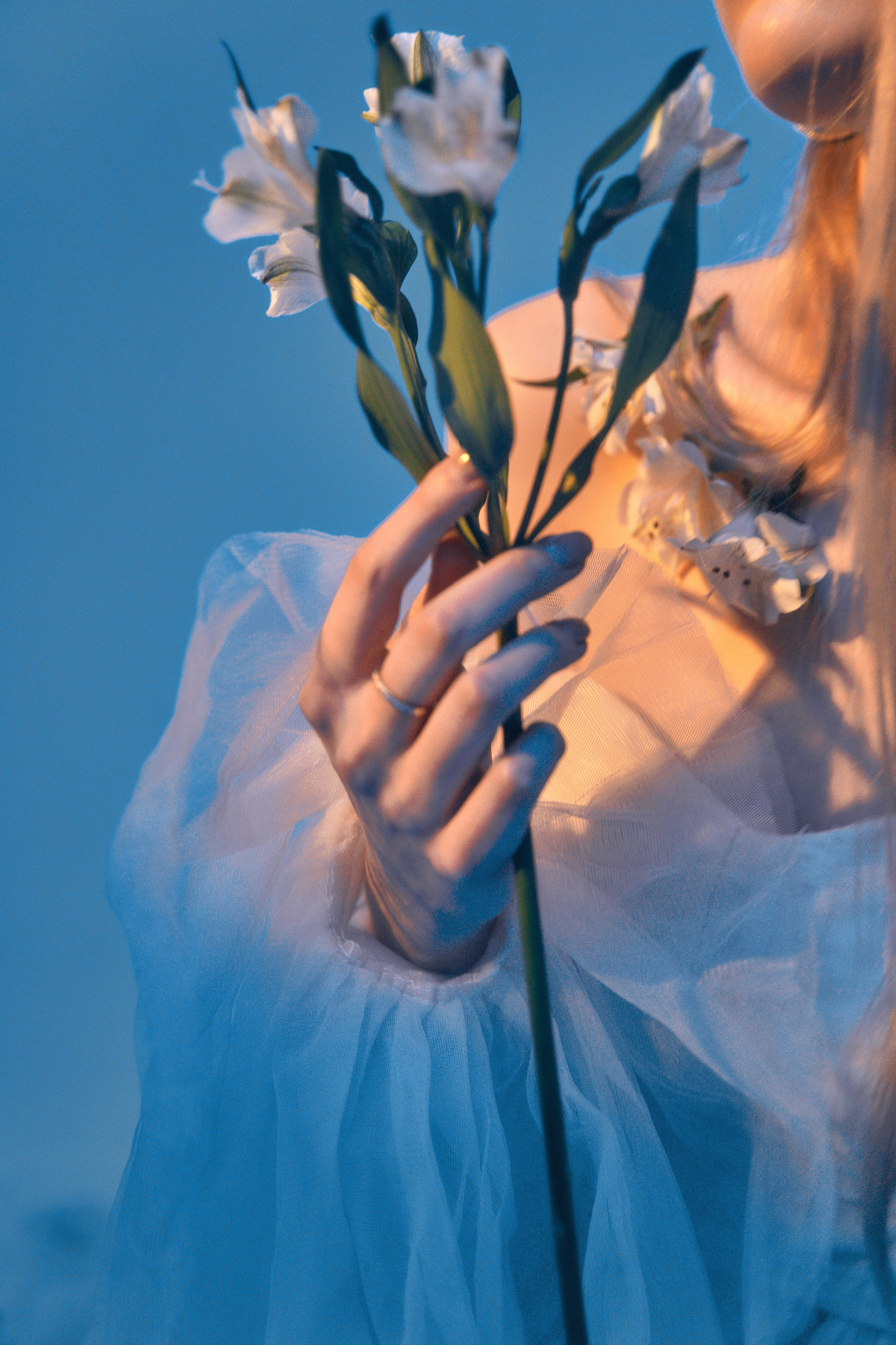 Женский портрет. Главная