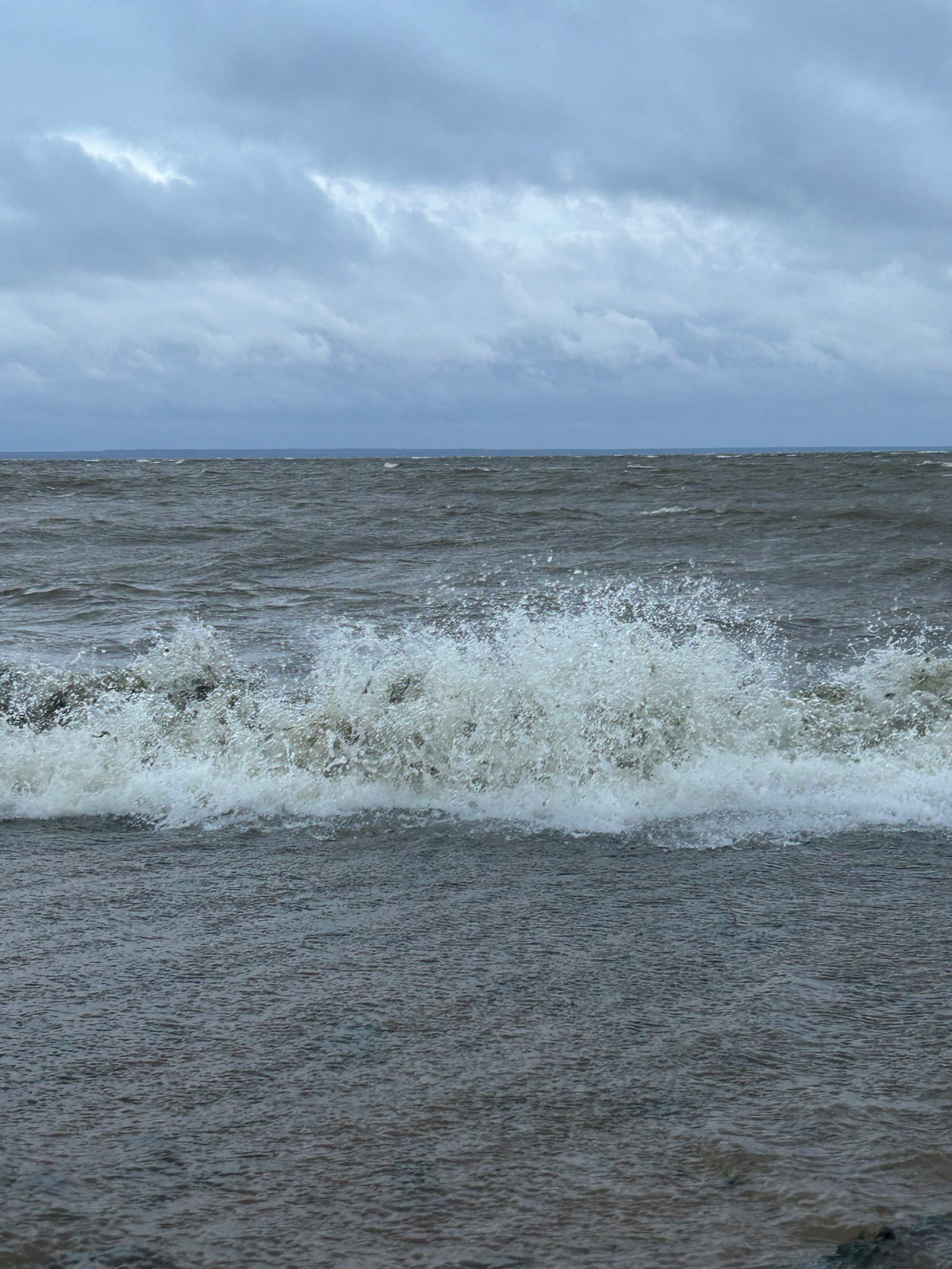 Природа. Фотокружок «Видоискатель» ГБОУ СОШ № 291