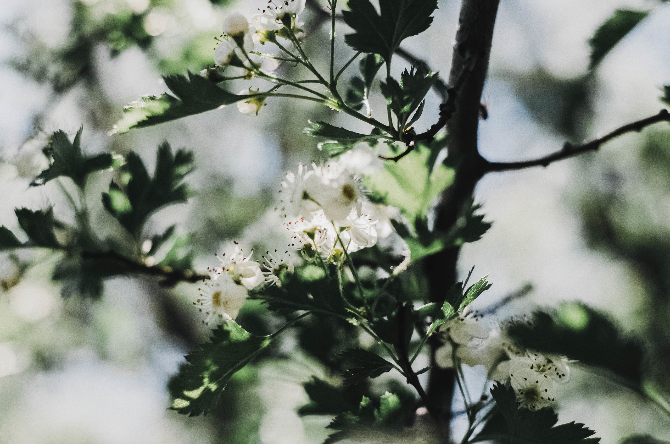 В рамках Workshop от Антикафе Provance. Доброго времени суток! Меня зовут Куличкова Юлия — я фотограф Ваших эм