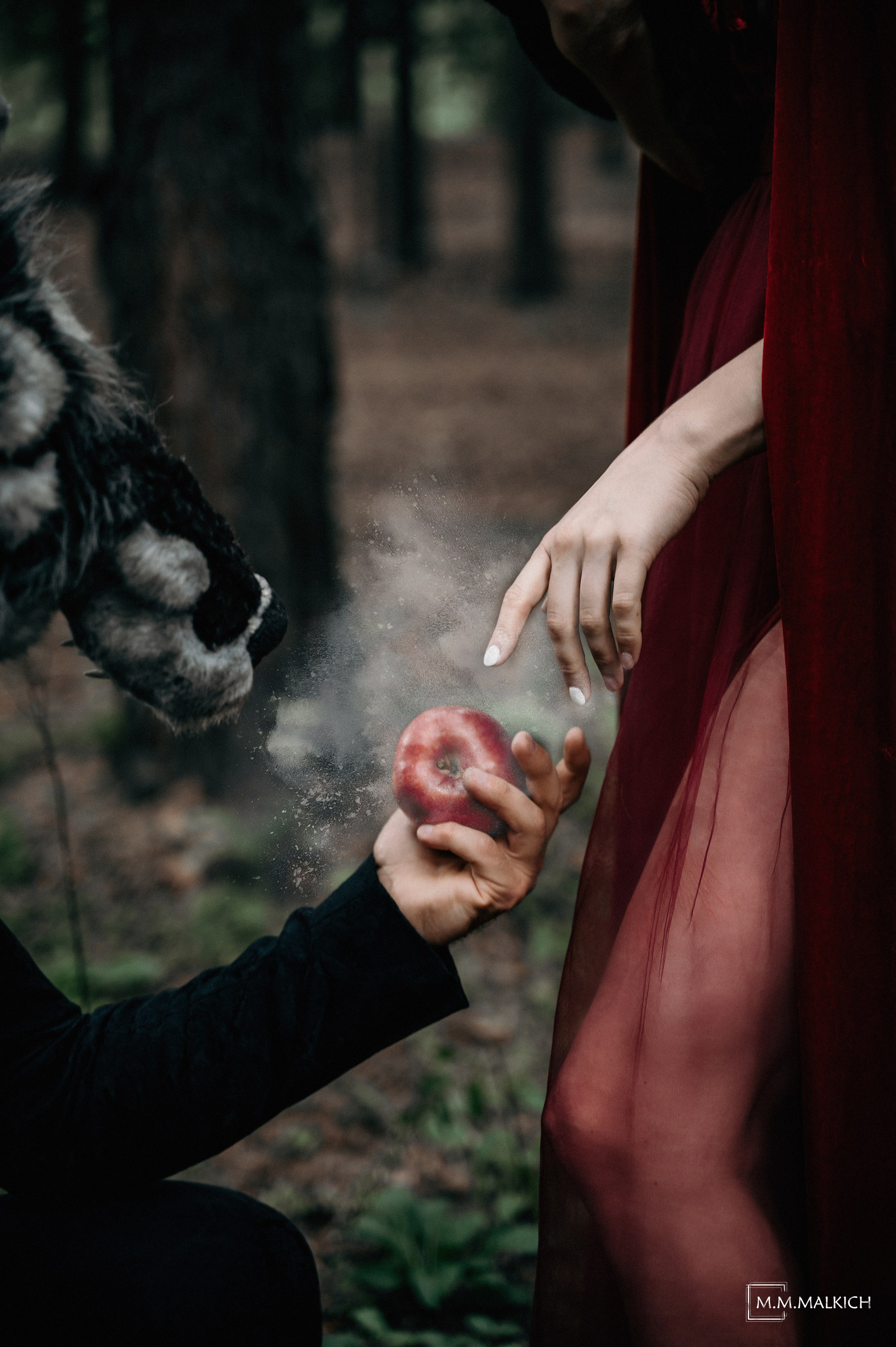 Art. Фотограф и видеограф в Москве Мария Малкич