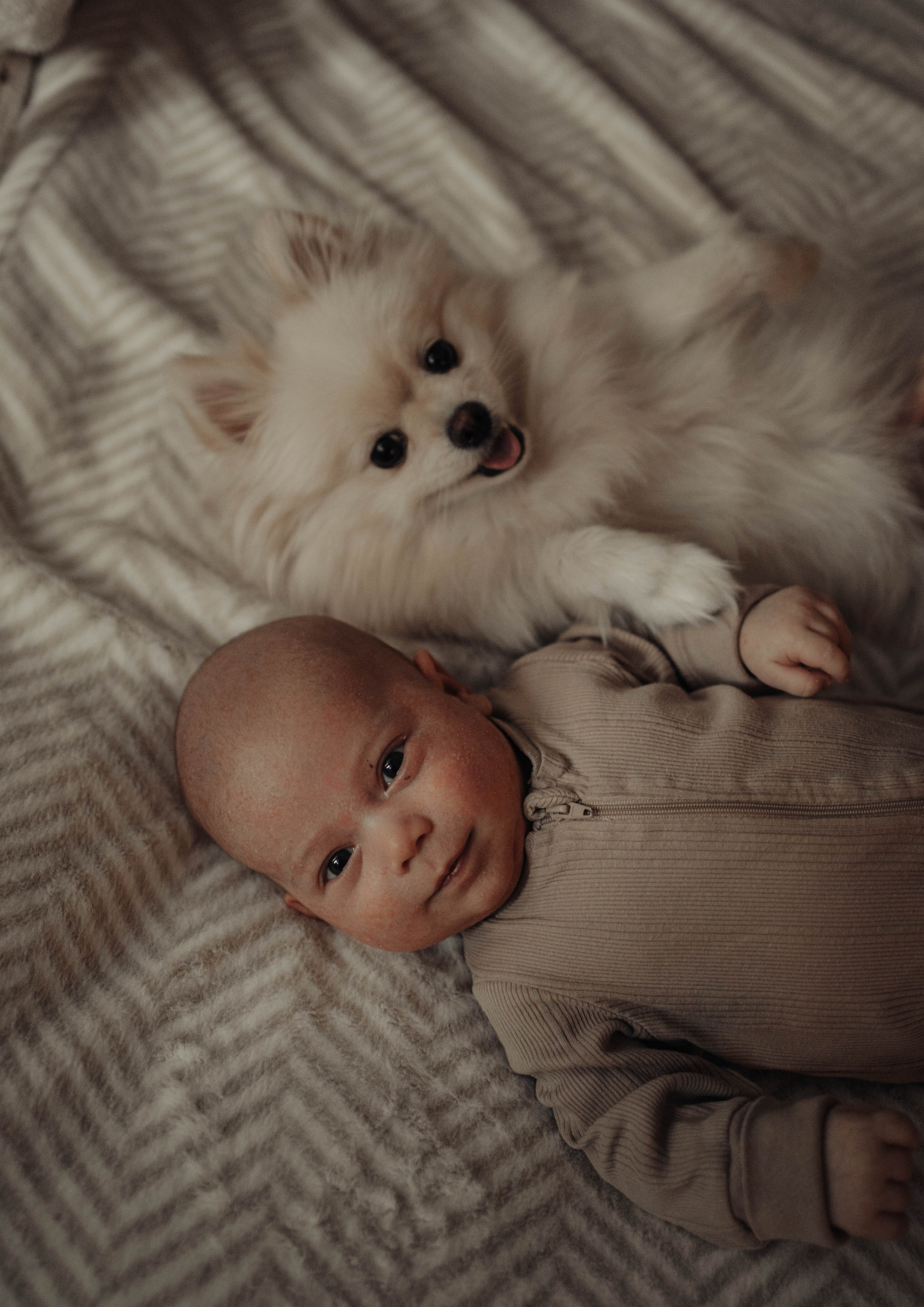 Ваня, Вика, Вова. Sporysheva.ru