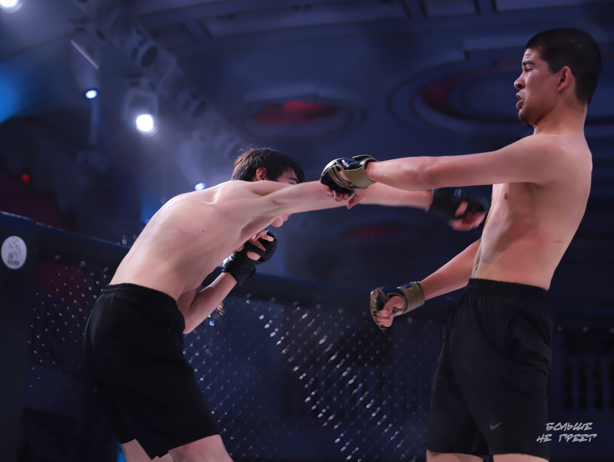 SABR FIGHTING. Больше не греет