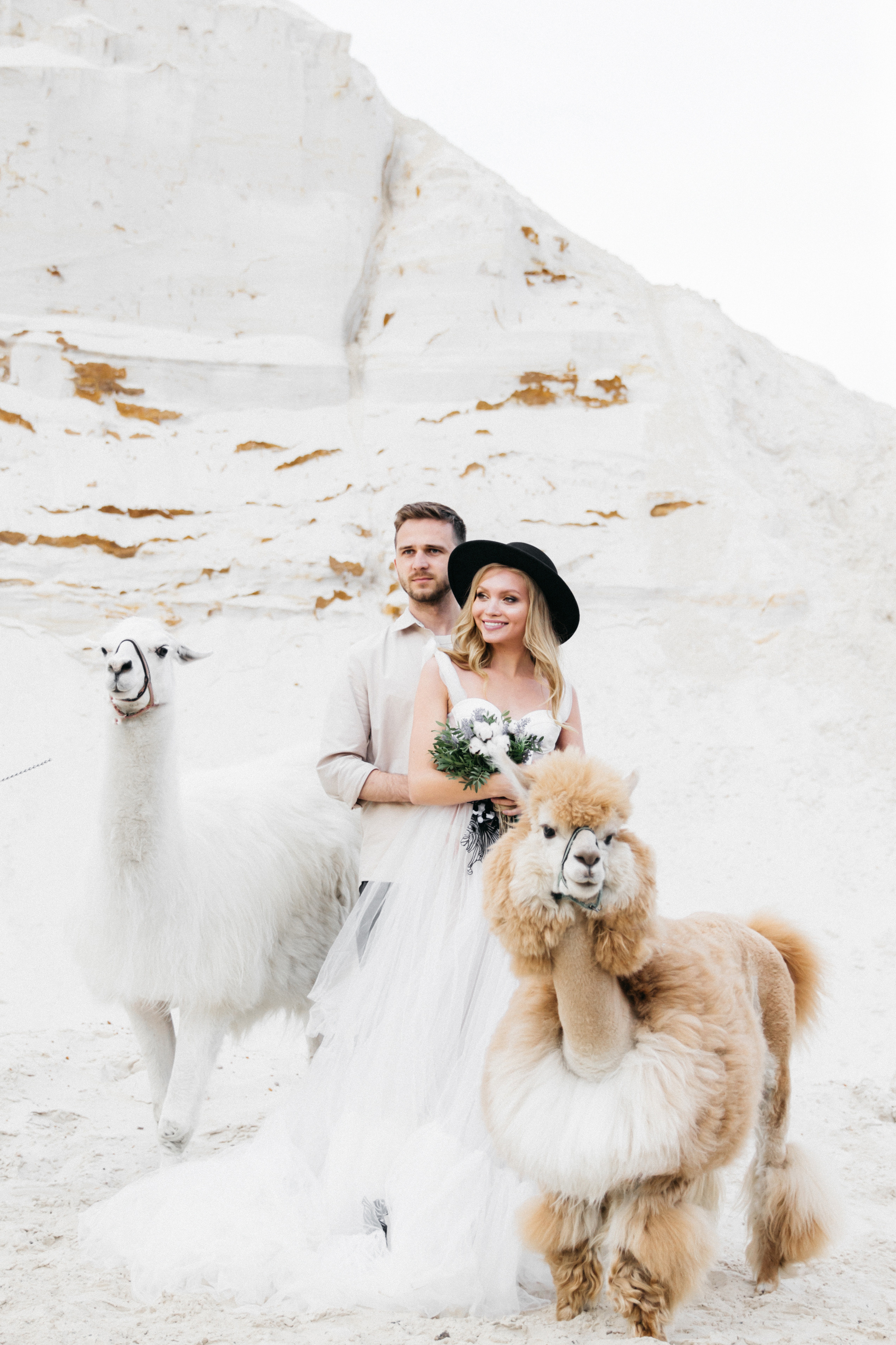 жених с невестой  с альпакой и ламой Москва