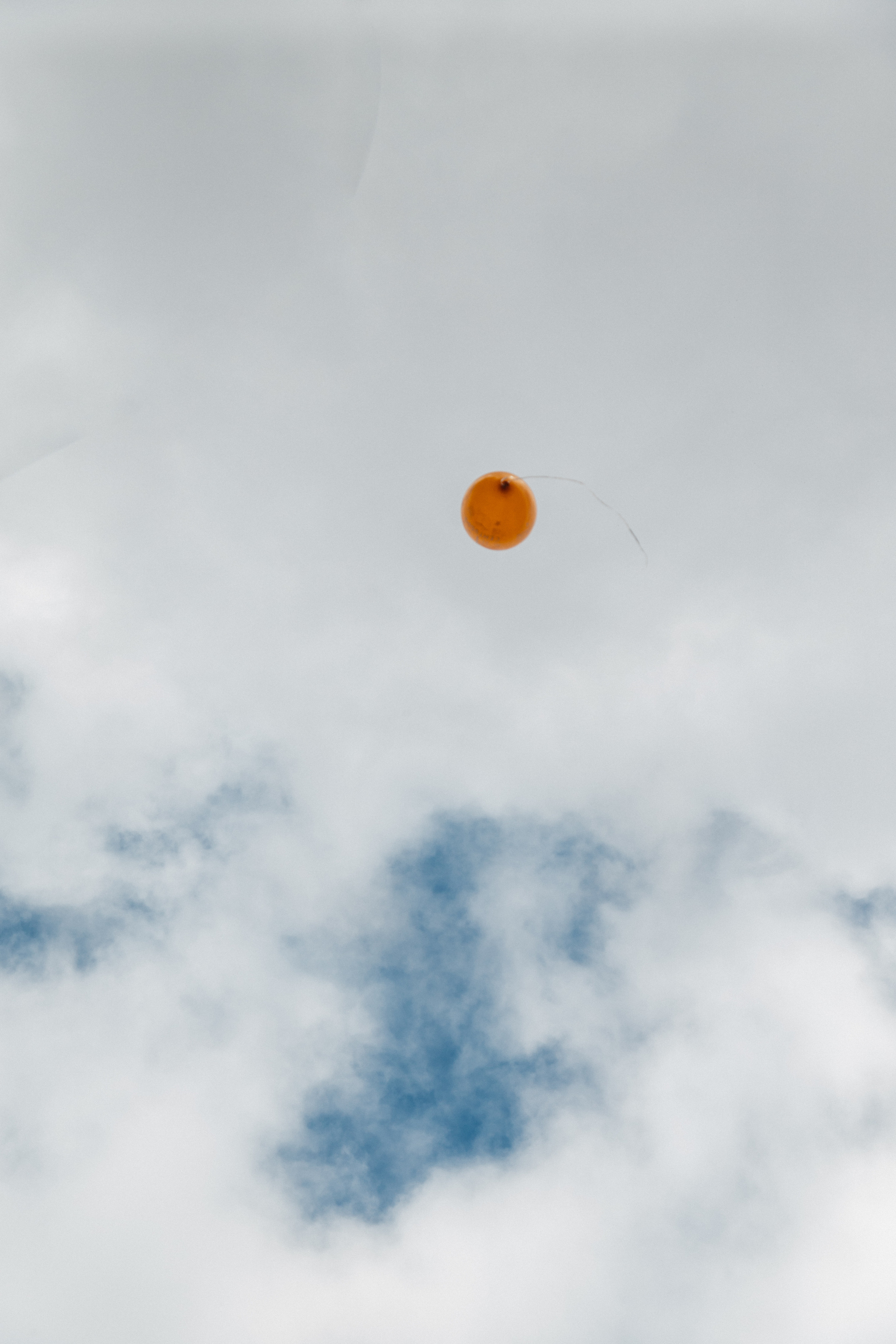 Школа. Свадебный и семейный фотограф в Москве Холда Тати