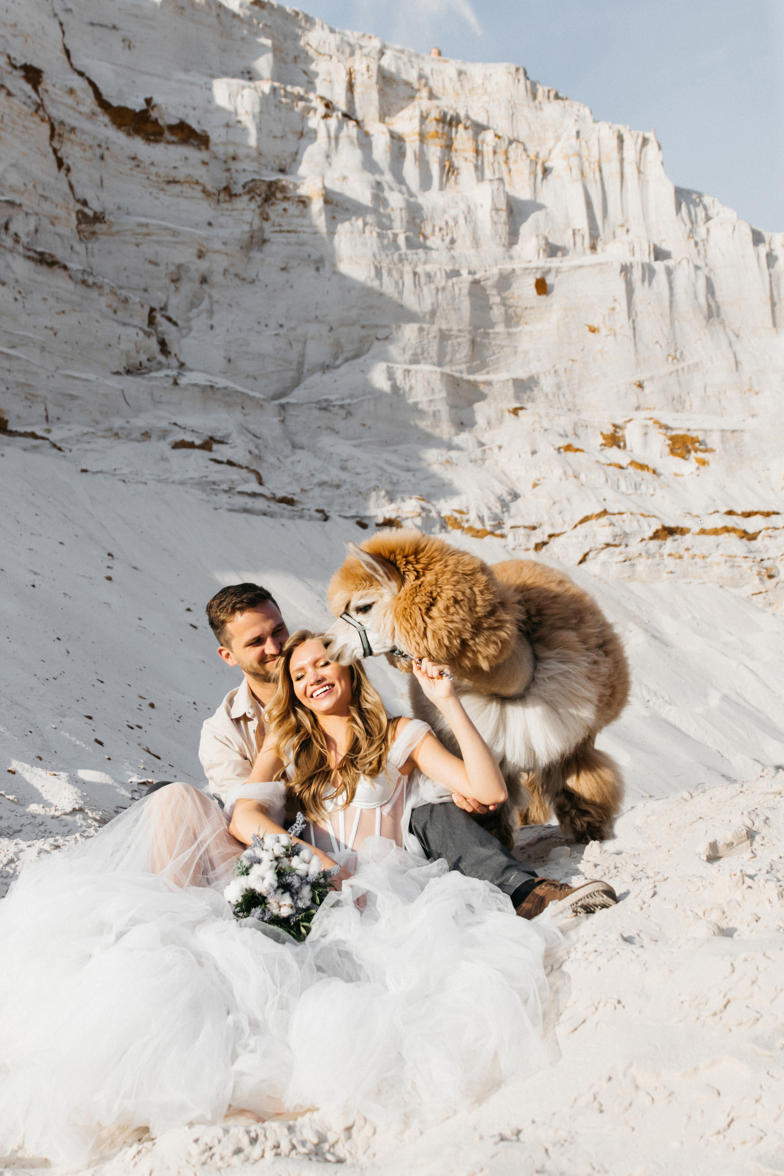 жених с невестой  с альпакой и ламой Москва карьер