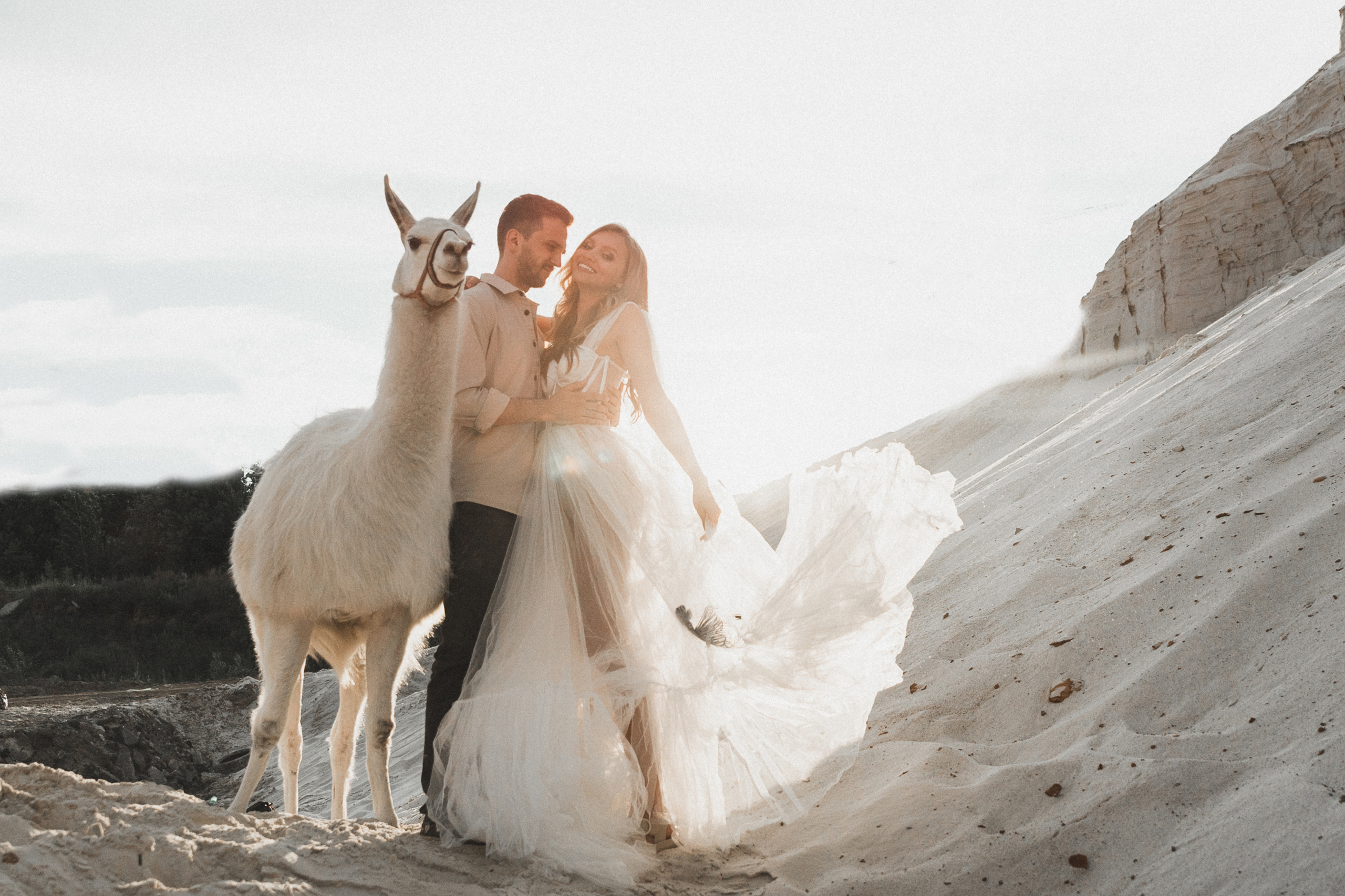 свадебная фотосессия бохо Москва с ламой