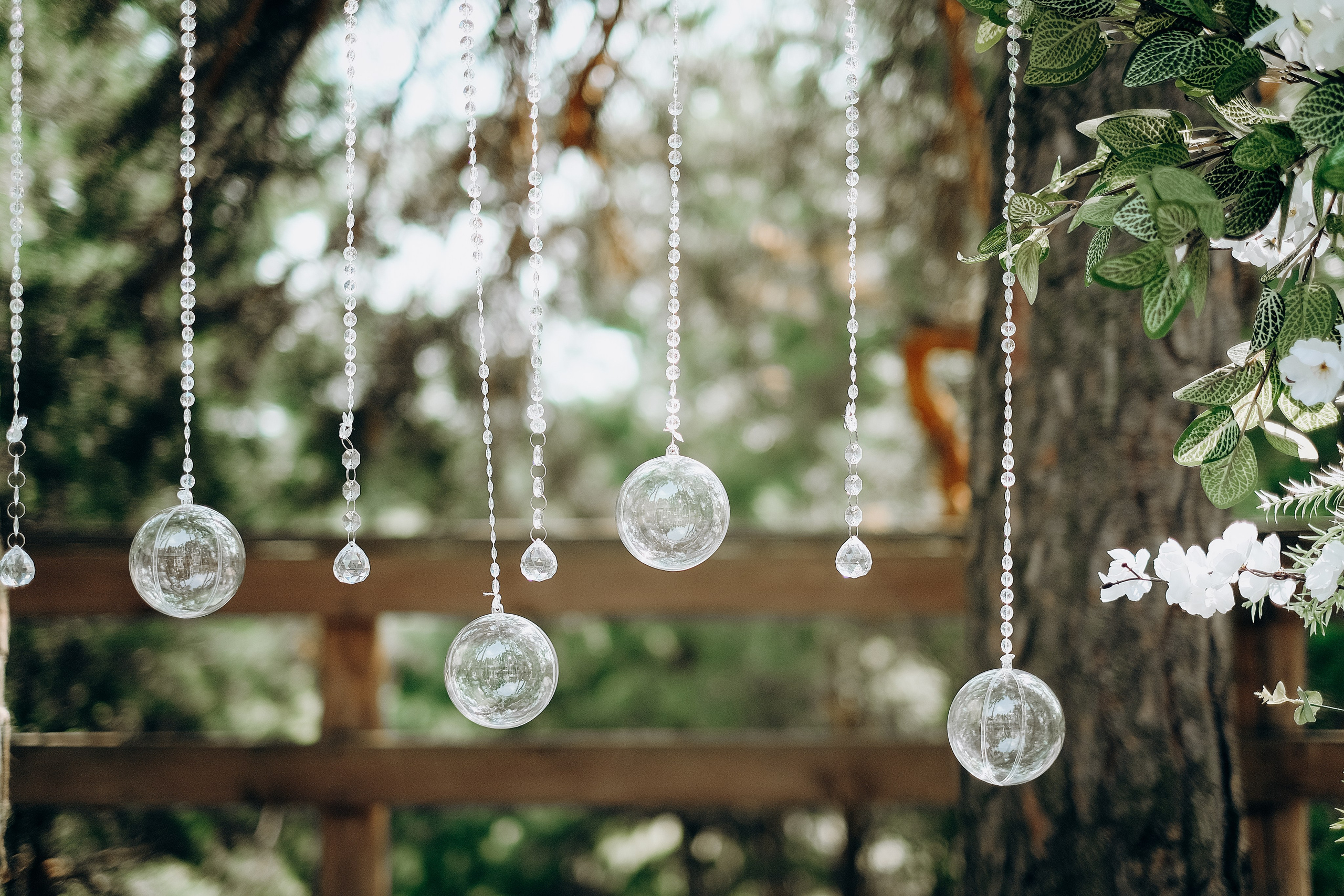 Надежда и Валерий