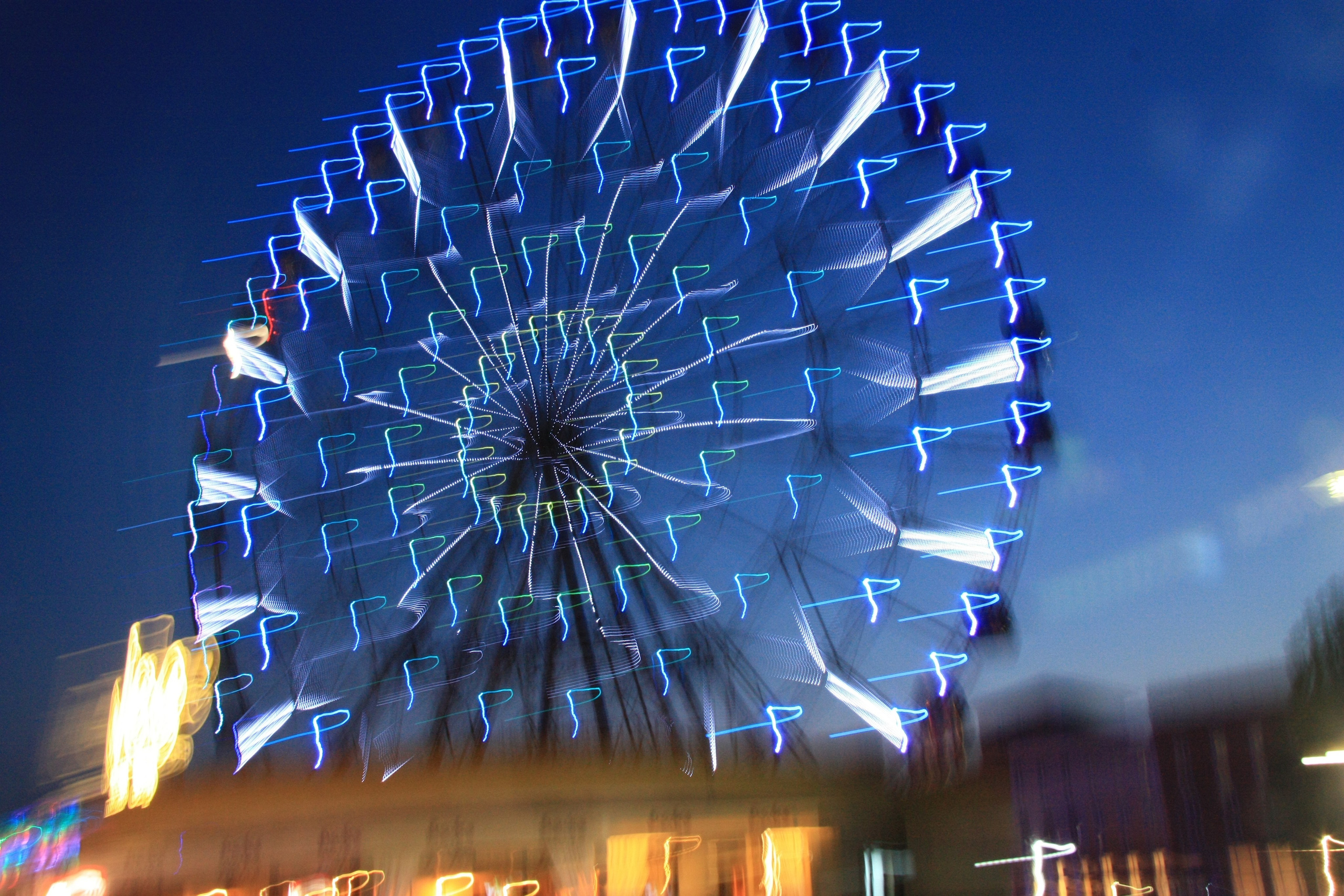 Первые кадры. Сочи — парк. Фотограф Роман Адлер